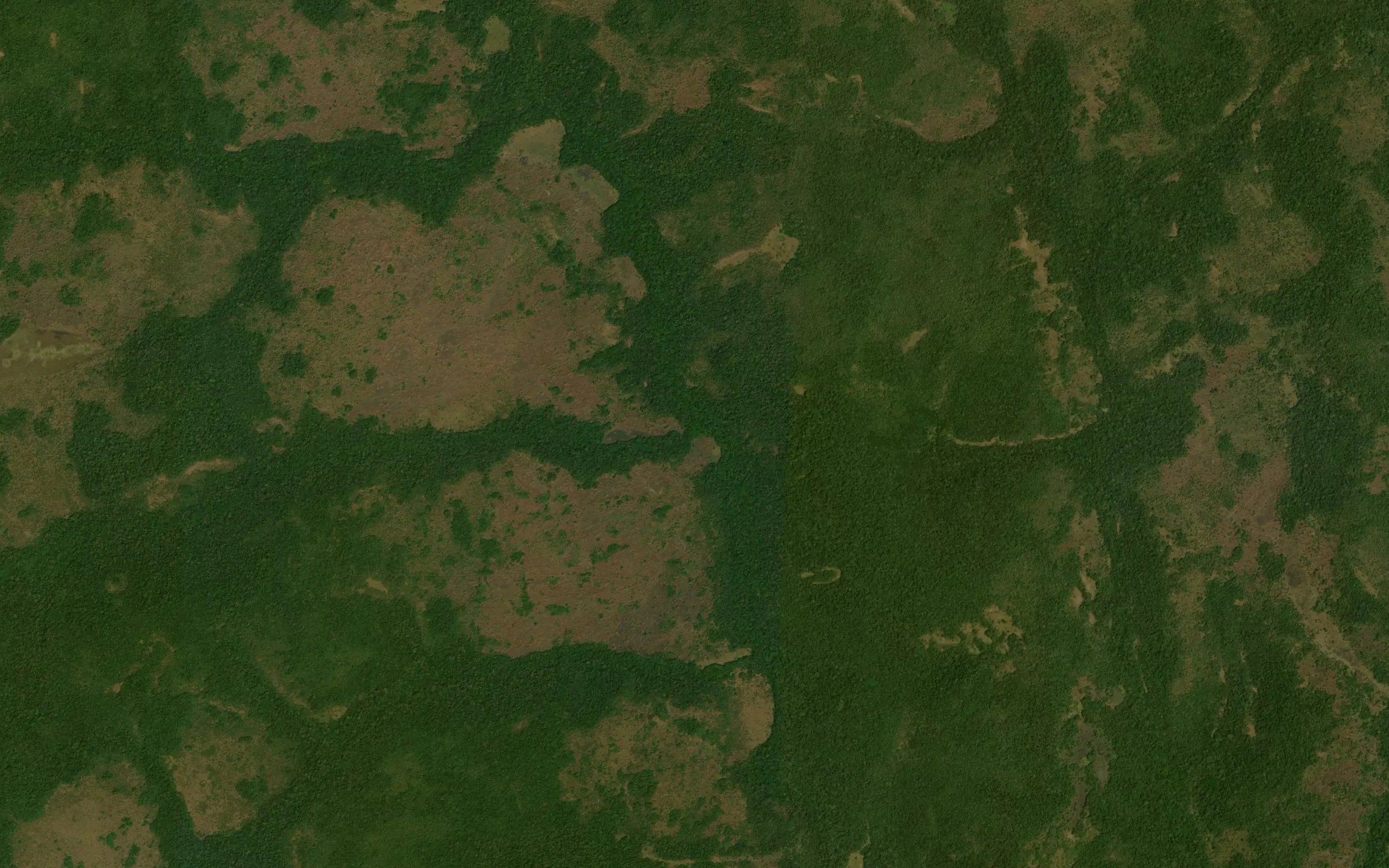 Bapaya