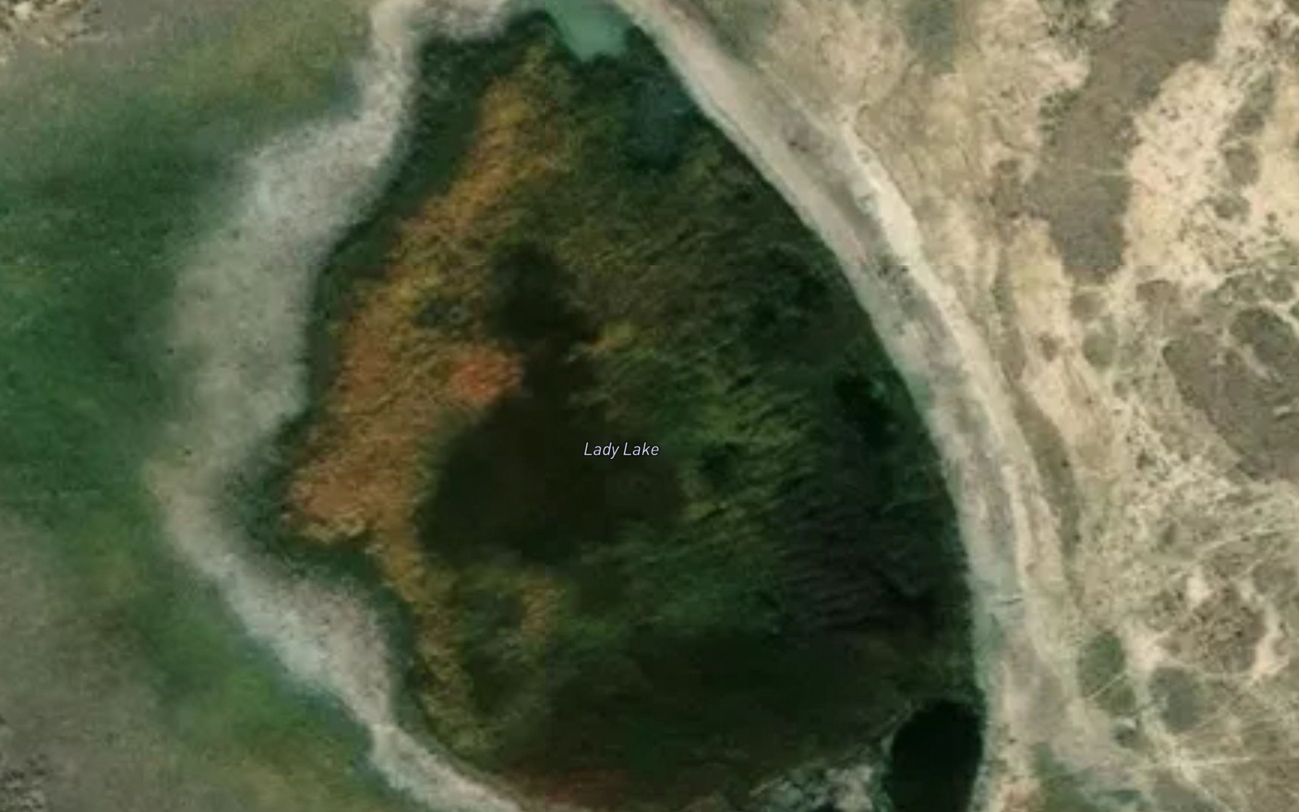 Lady Lake