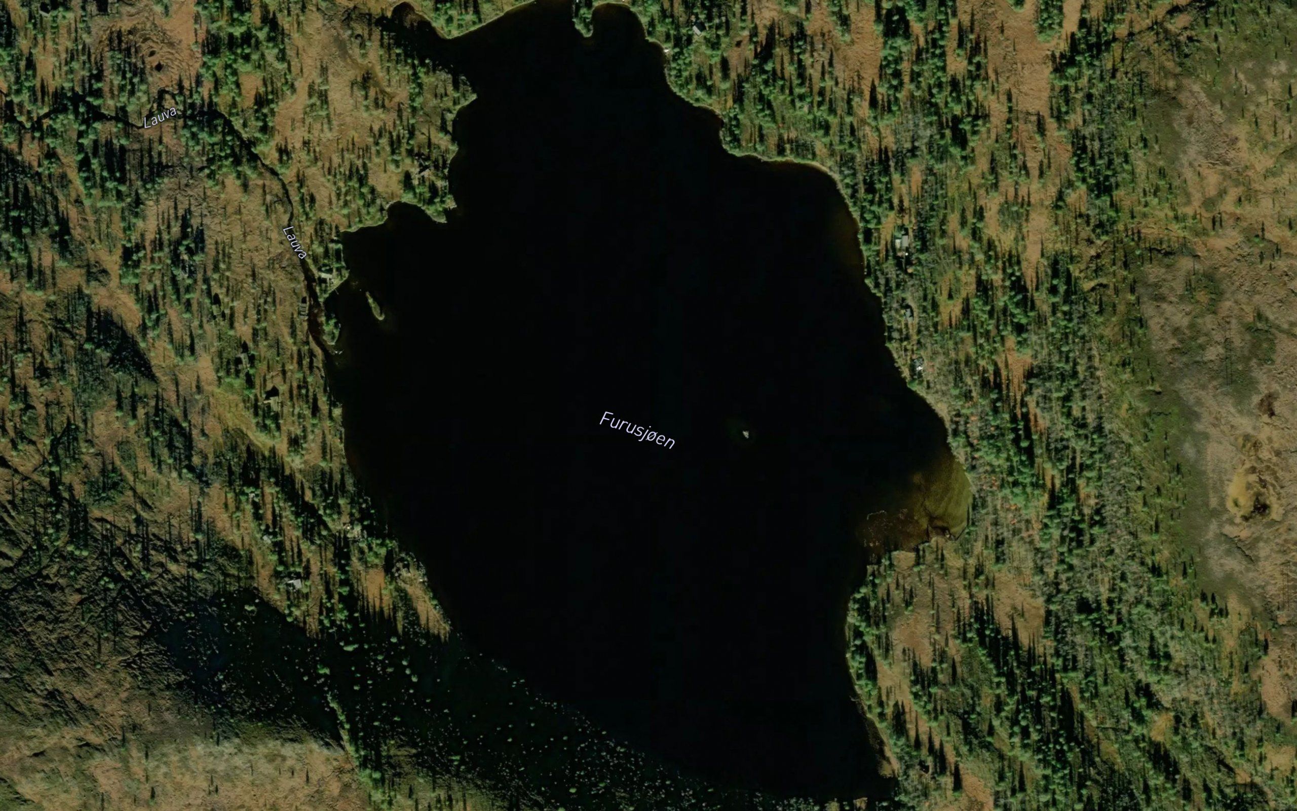 Furusjoen