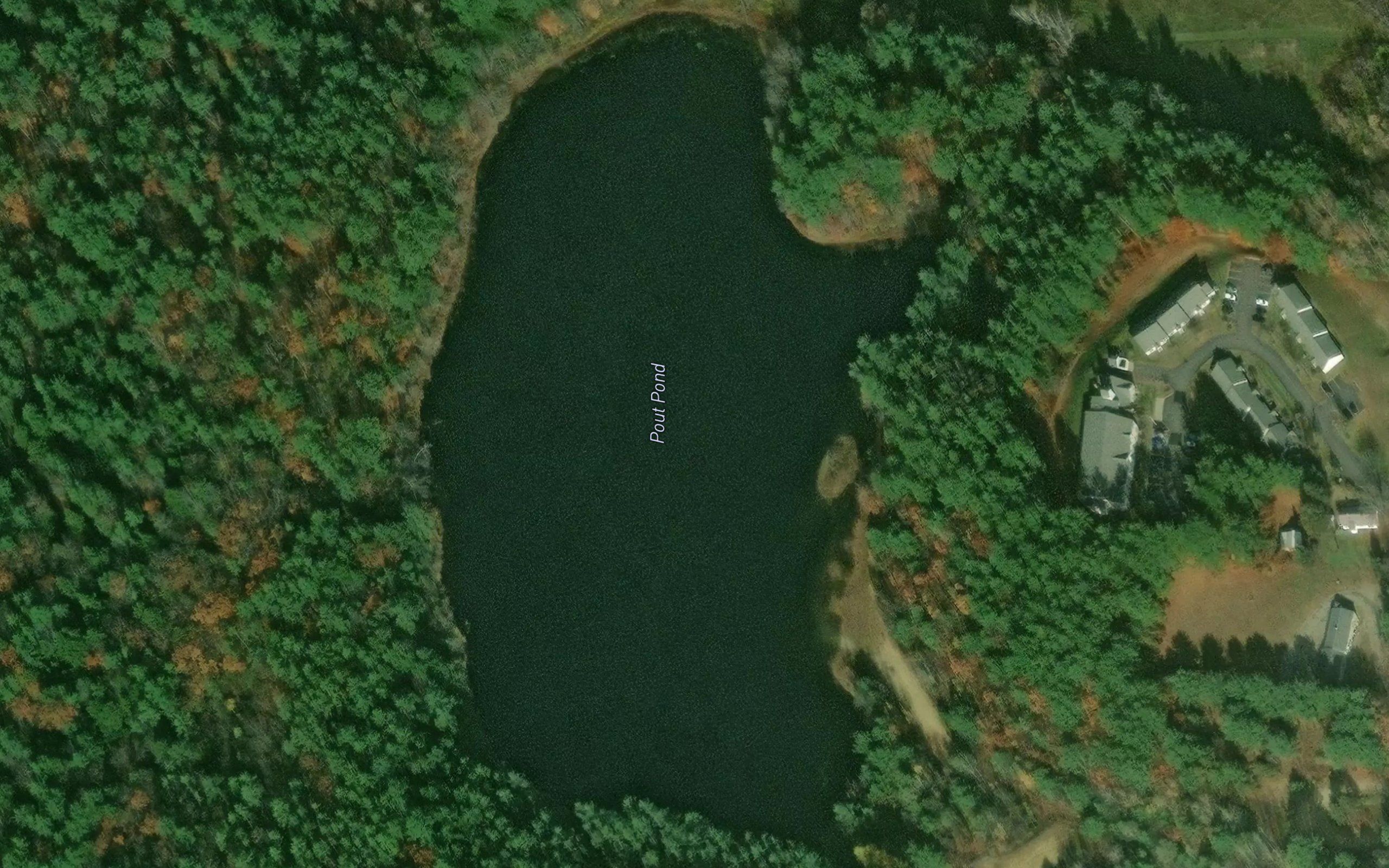 Pout Pond