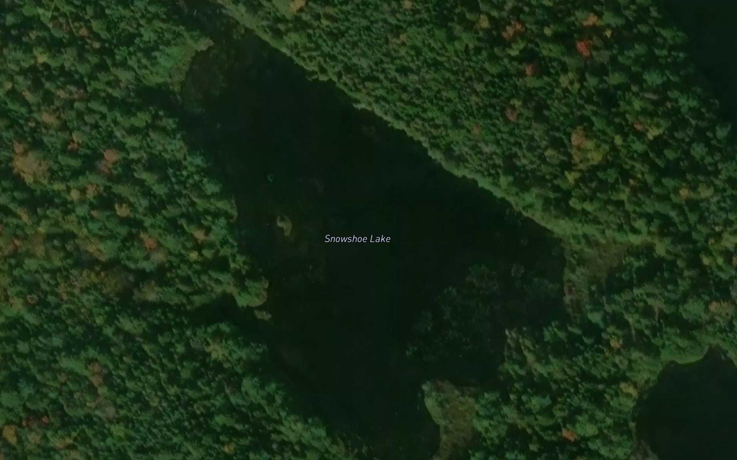 Snowshoe Lake
