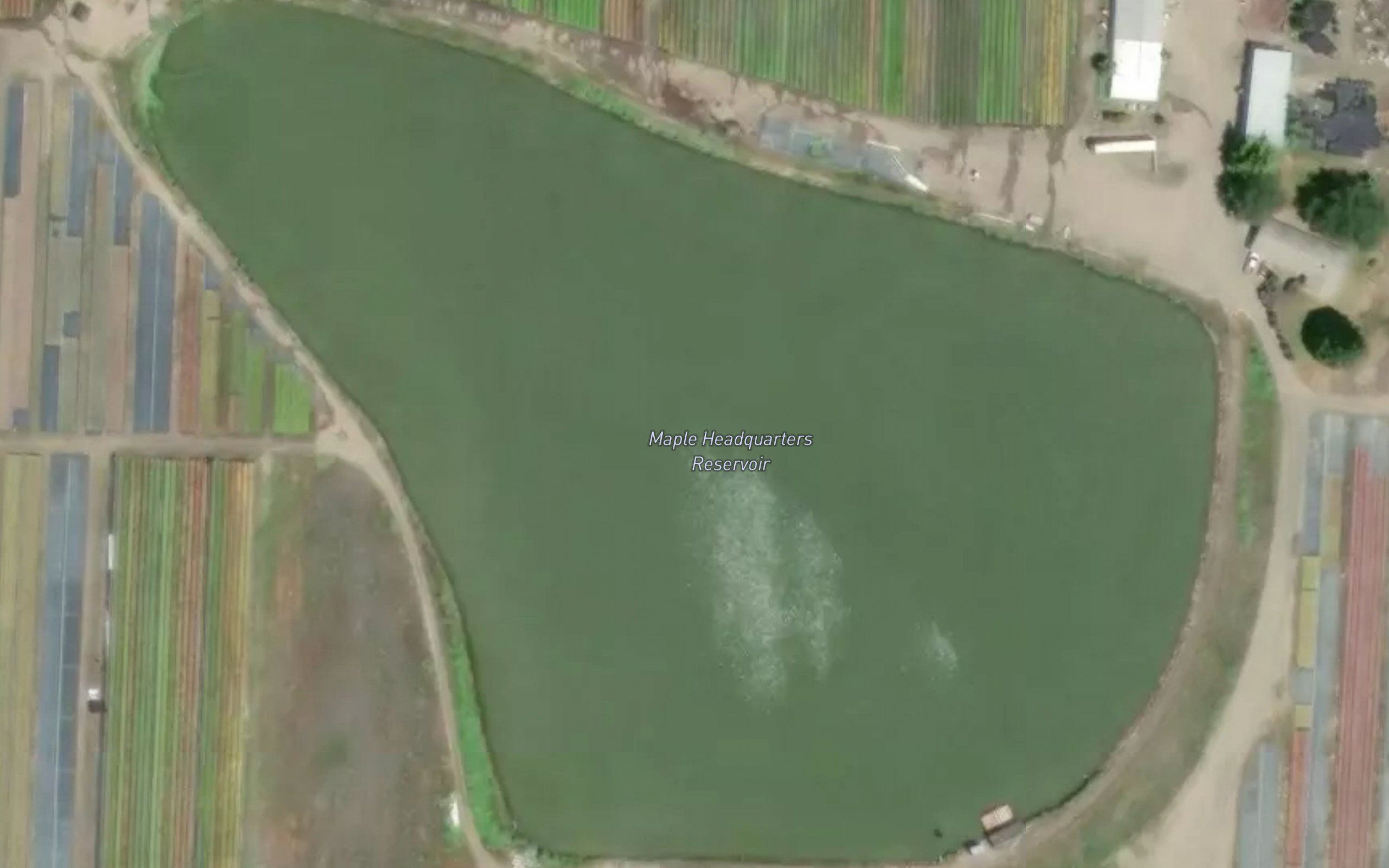 Maple Headquarters Reservoir