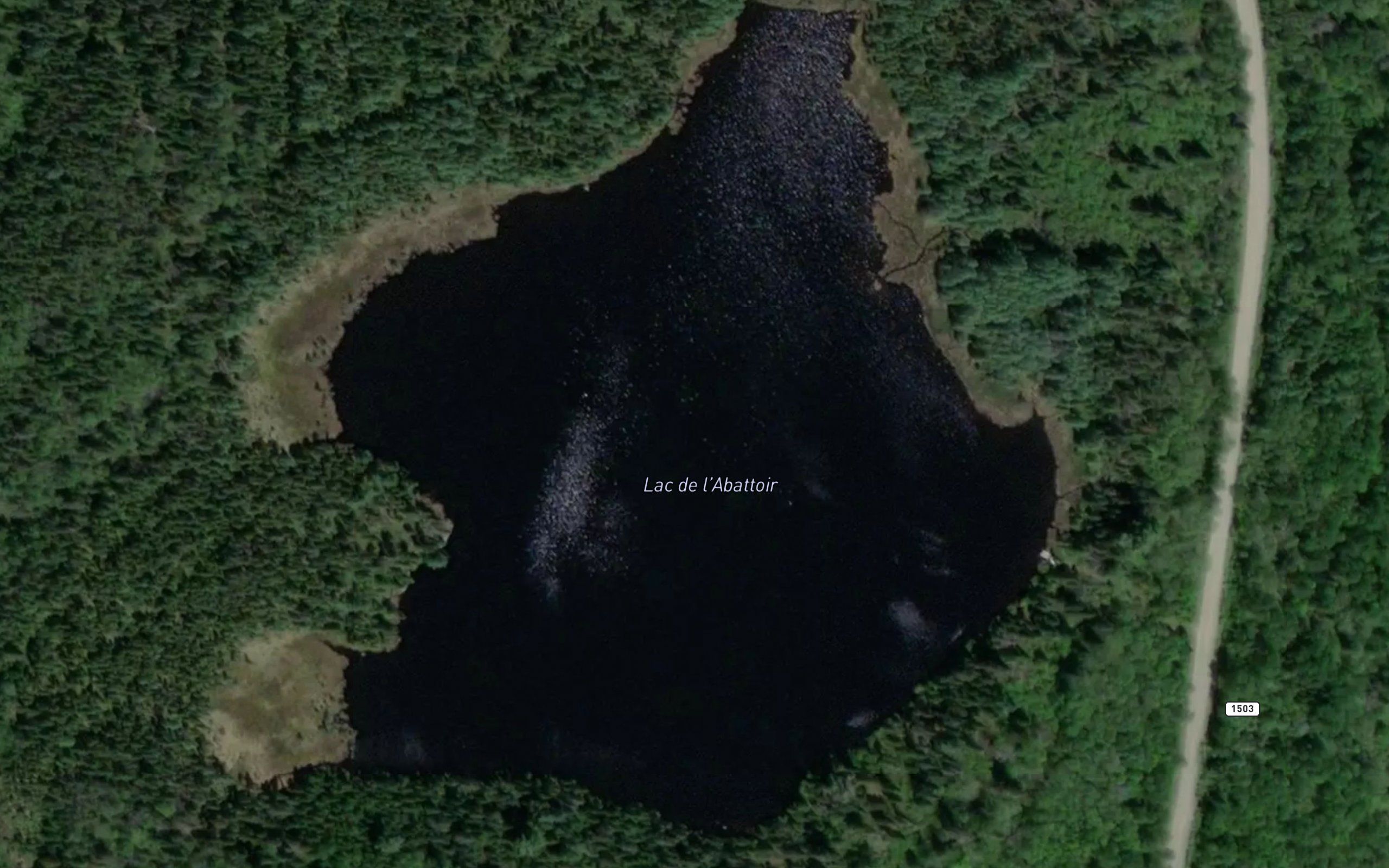 Lac de l'Abattoir