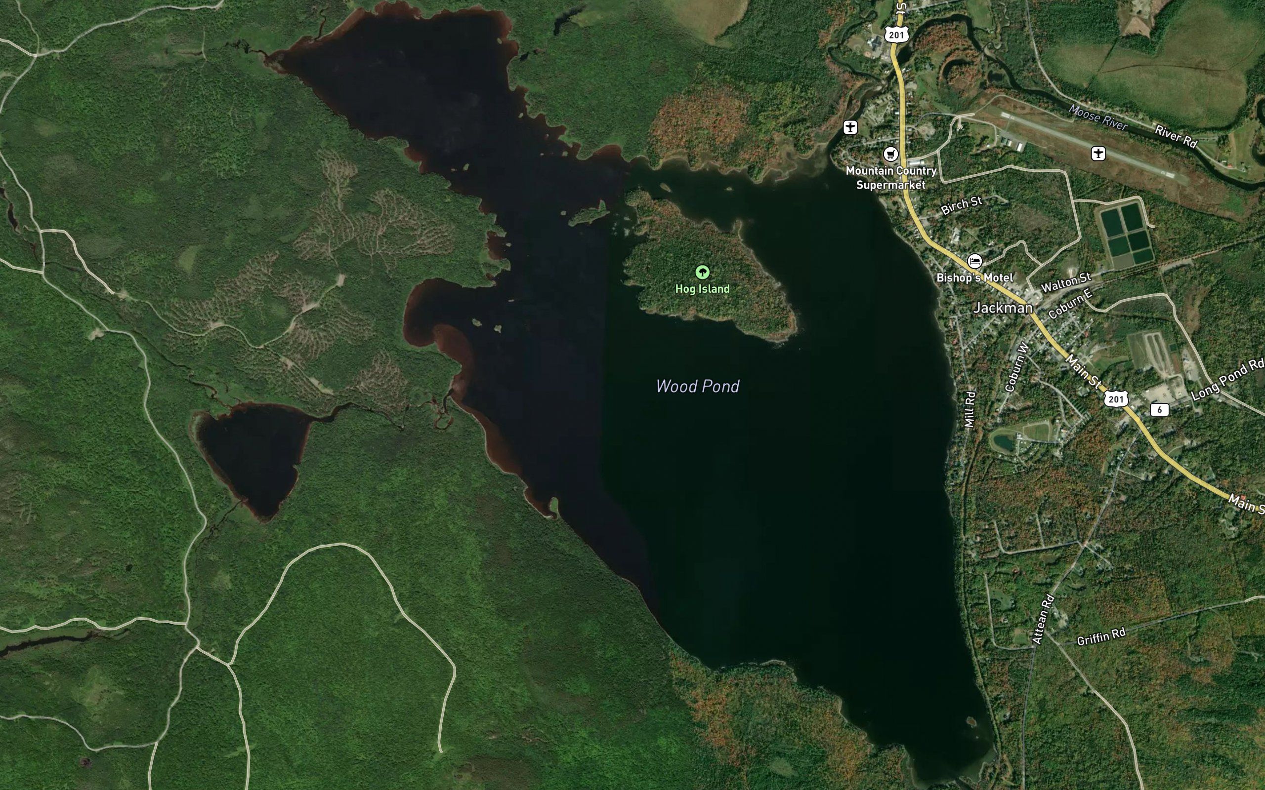 Wood Pond