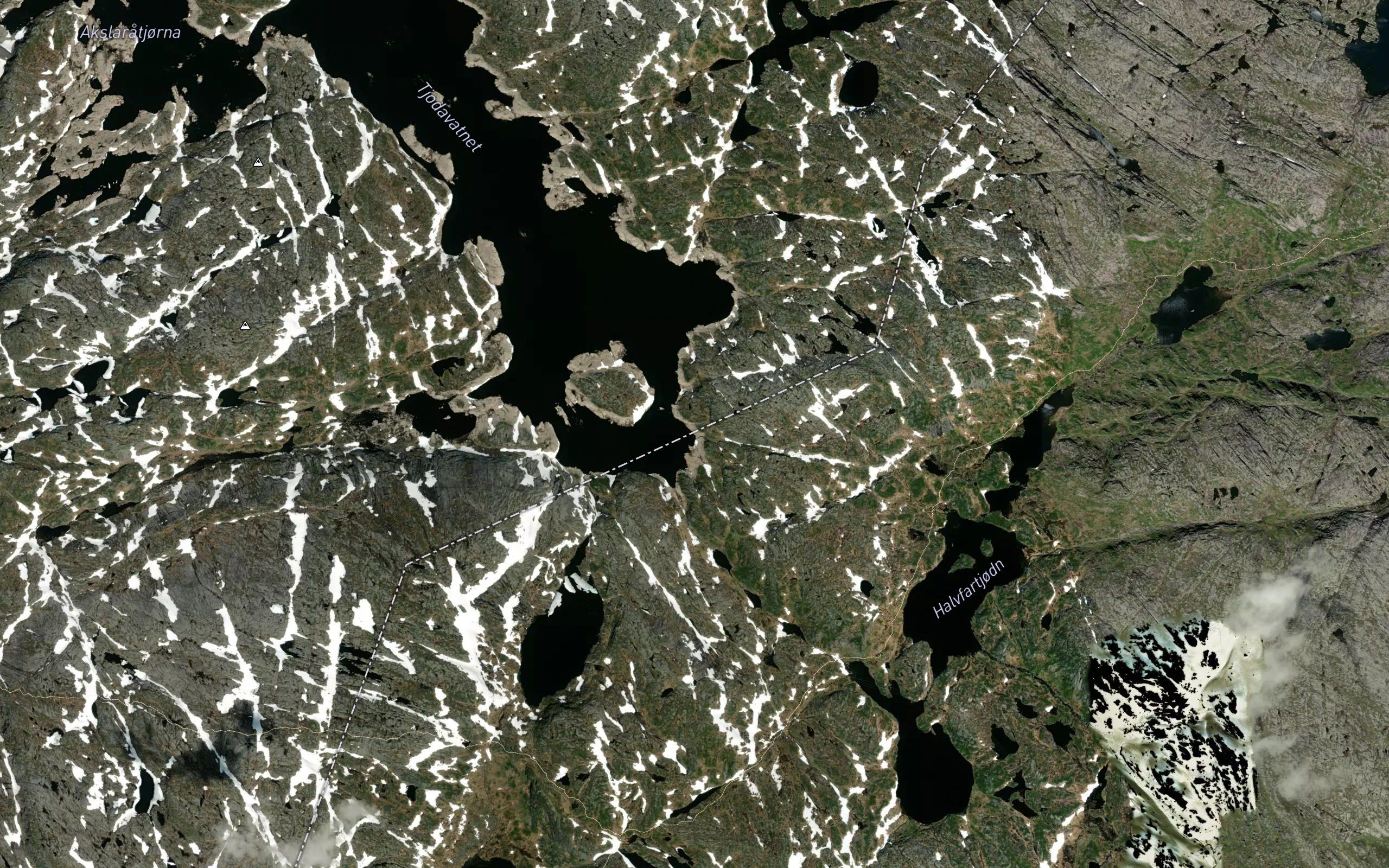 Tjodanpodlen