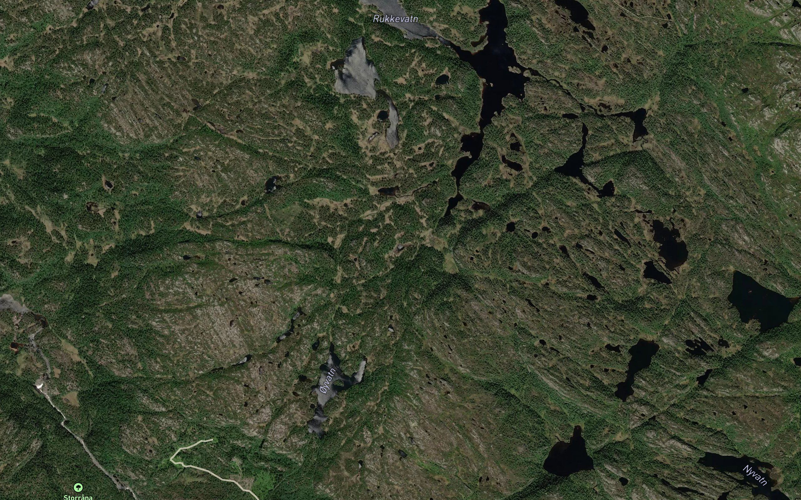 Siletjonn