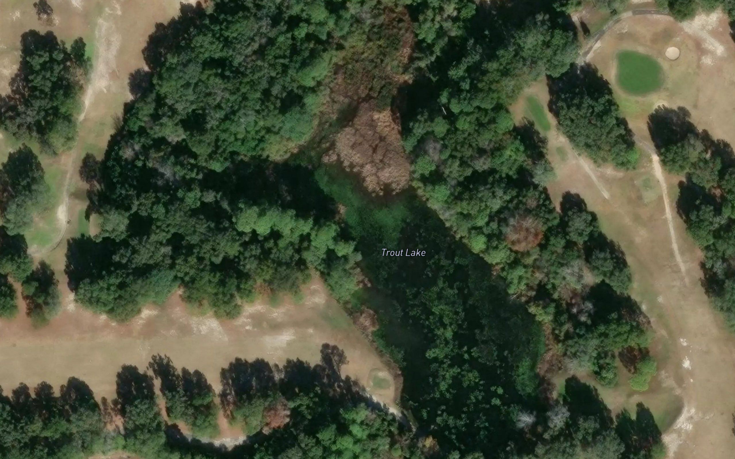 Trout Lake