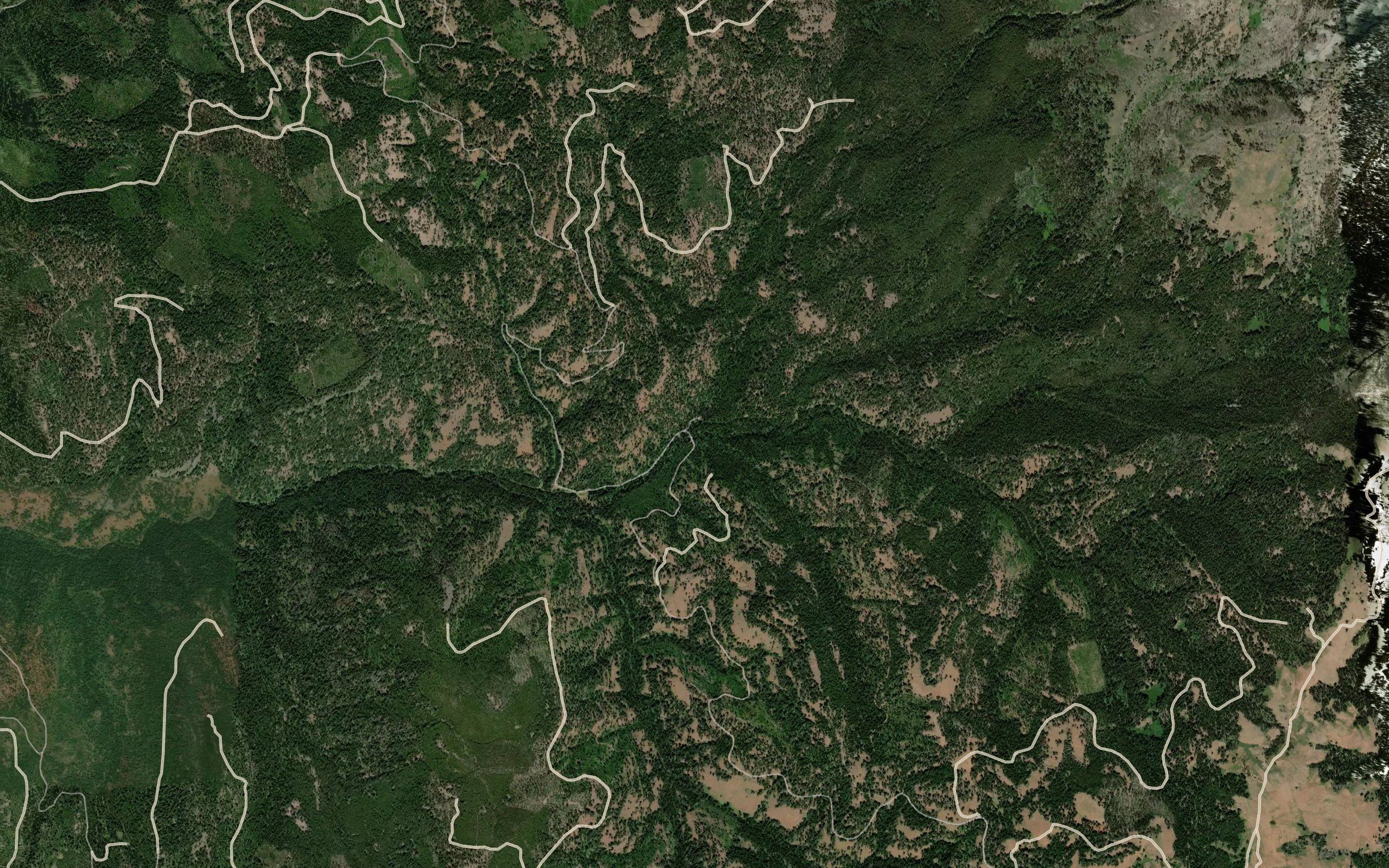 Pole Creek