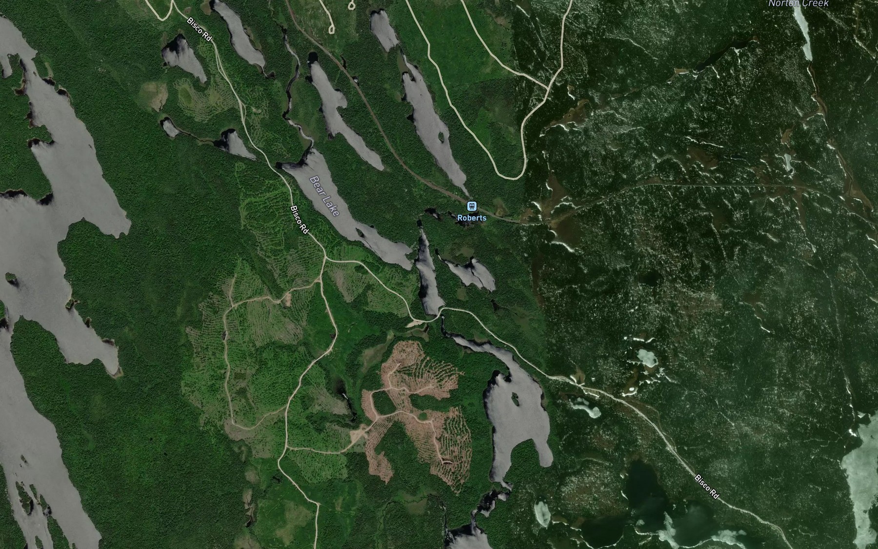 Satellite map of the Roberts Lake