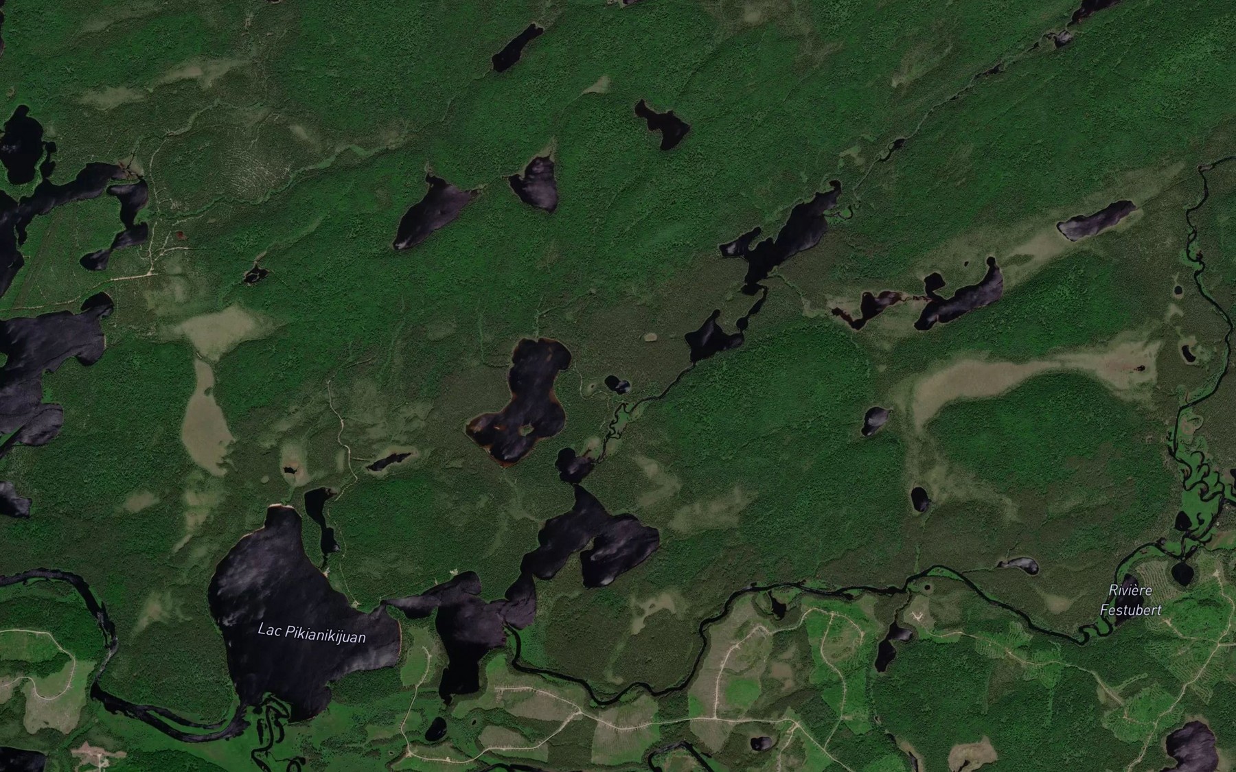 Satellite map of the Lac aux Saumons