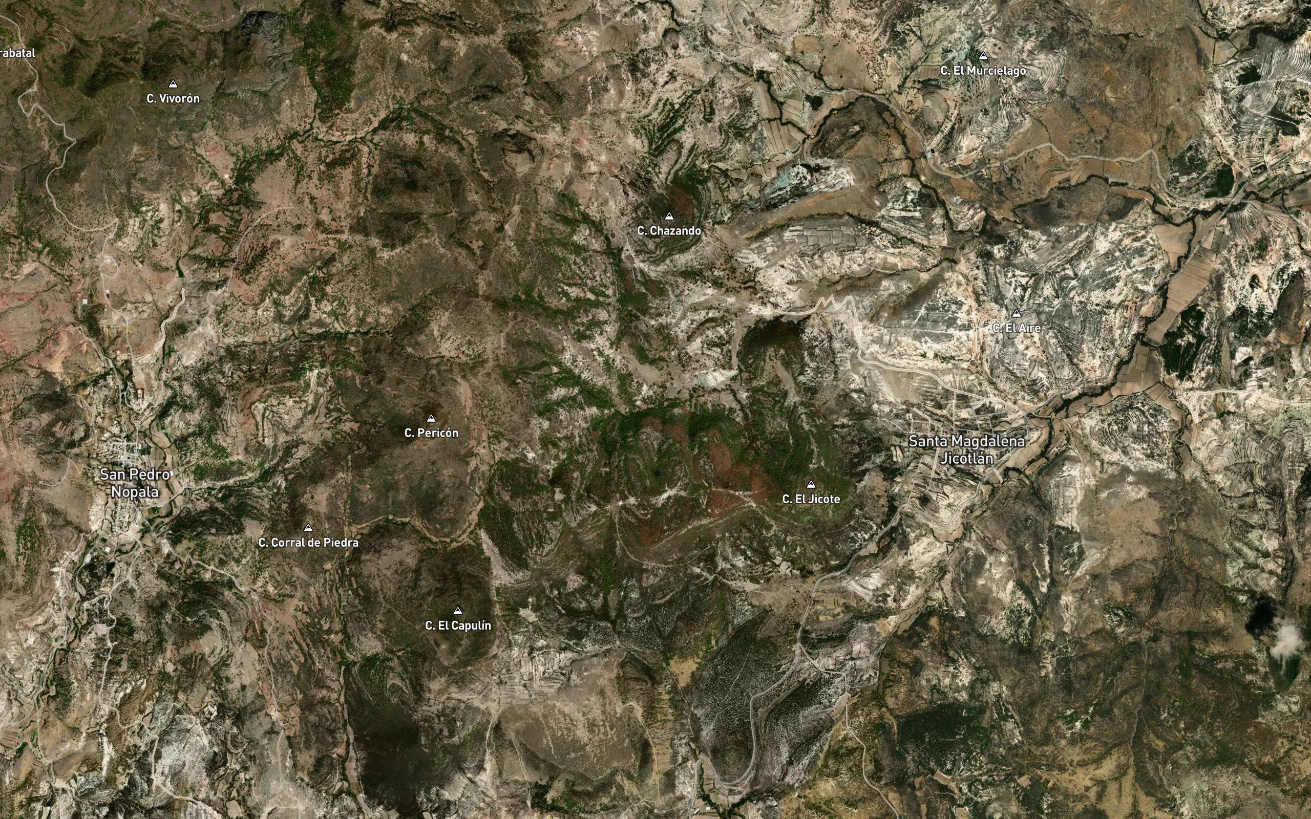 Salazar