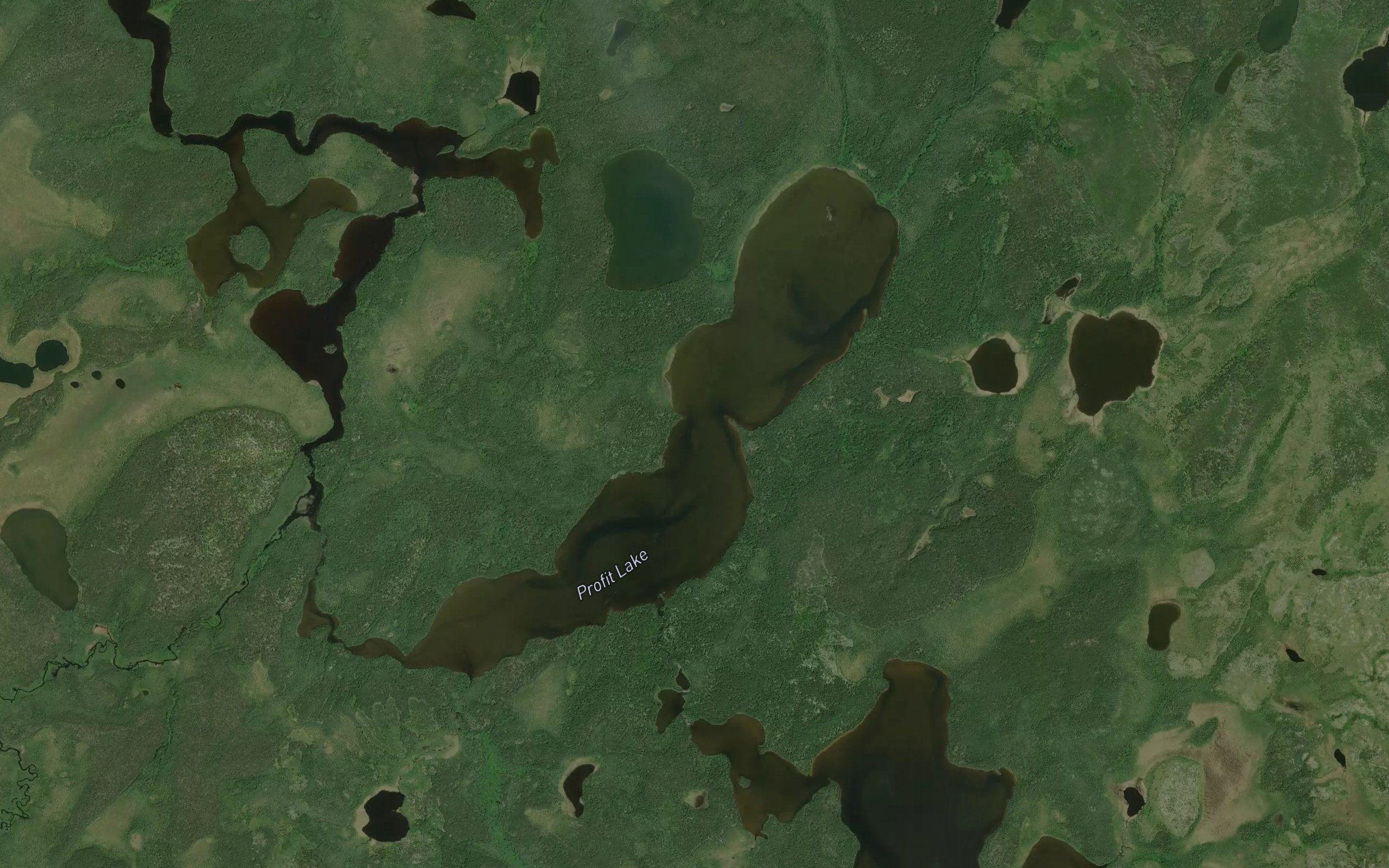 Profit Lake