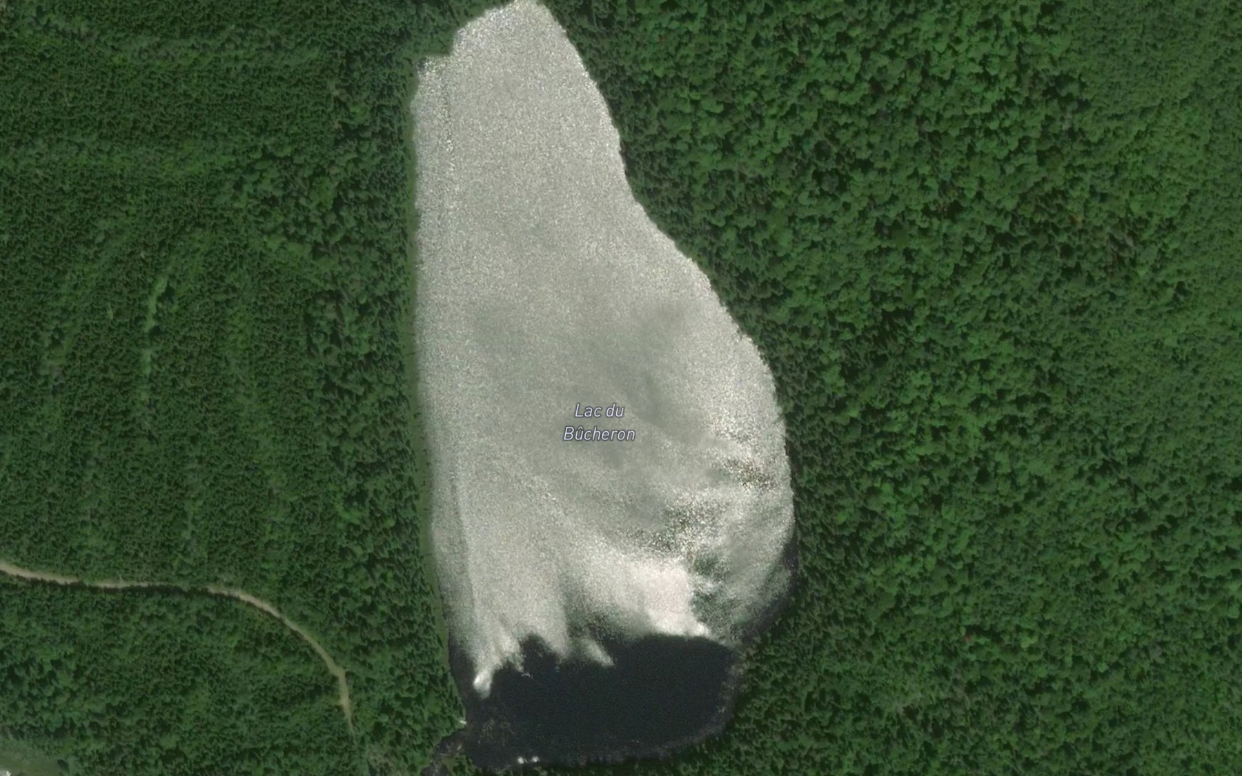 Satellite map of the Lac du Bucheron