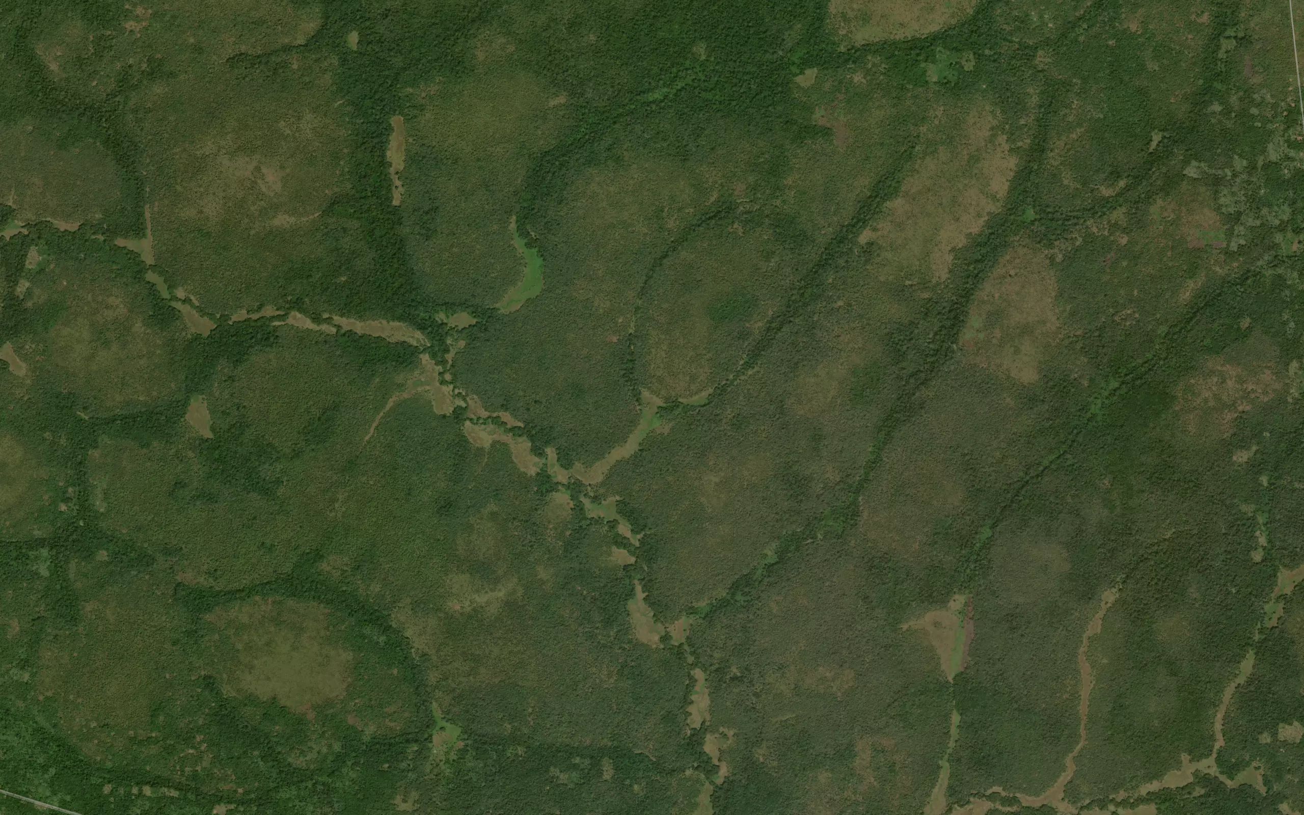 Nangau