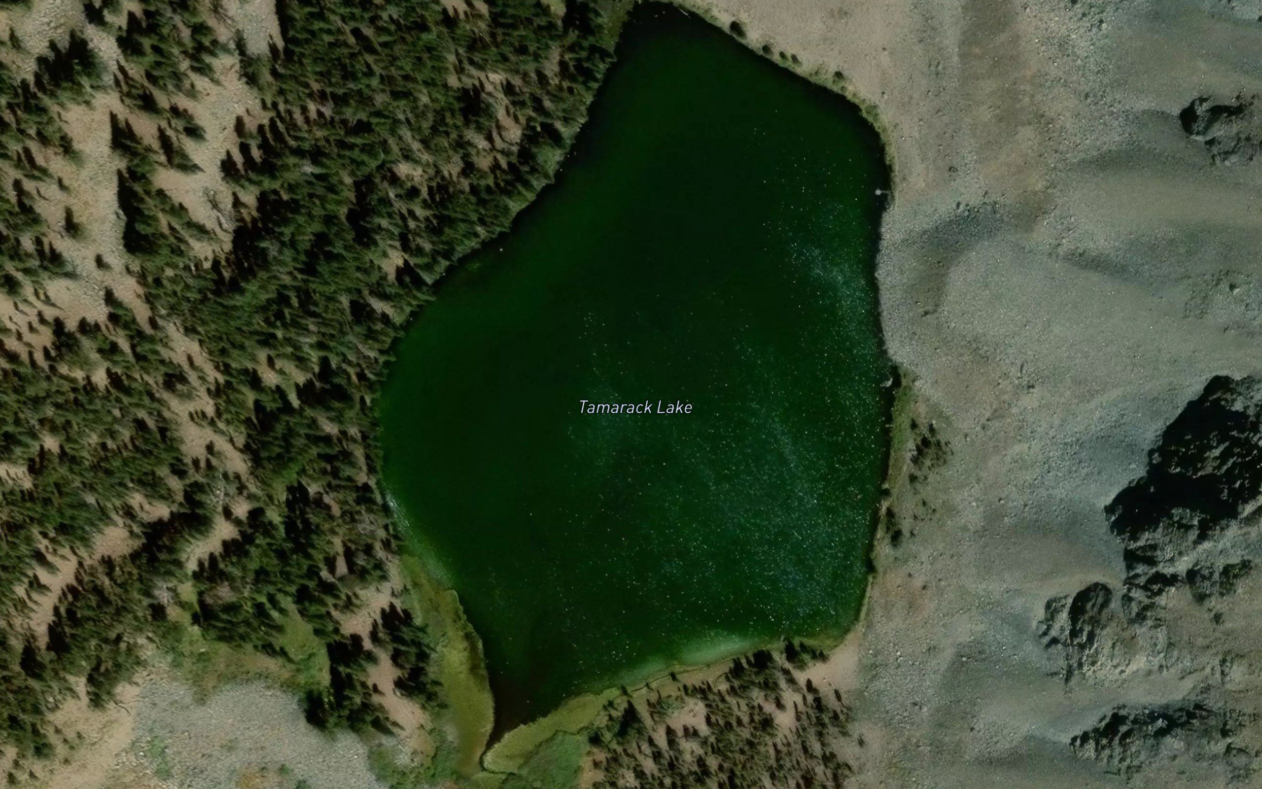 Tamarack Lake