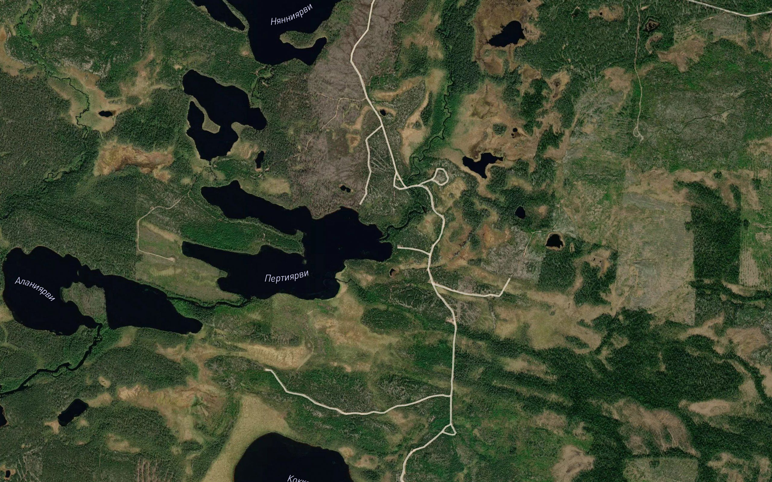 Kondi