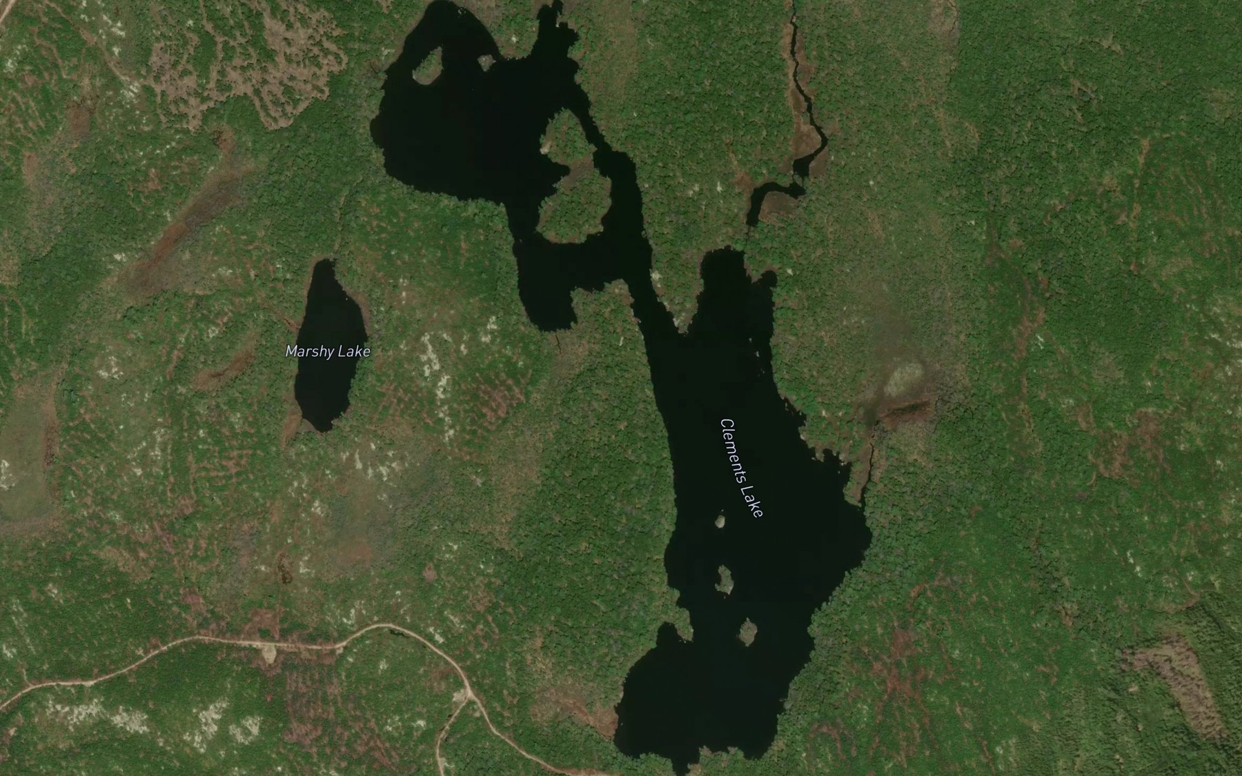 Satellite map of the Clements Lake