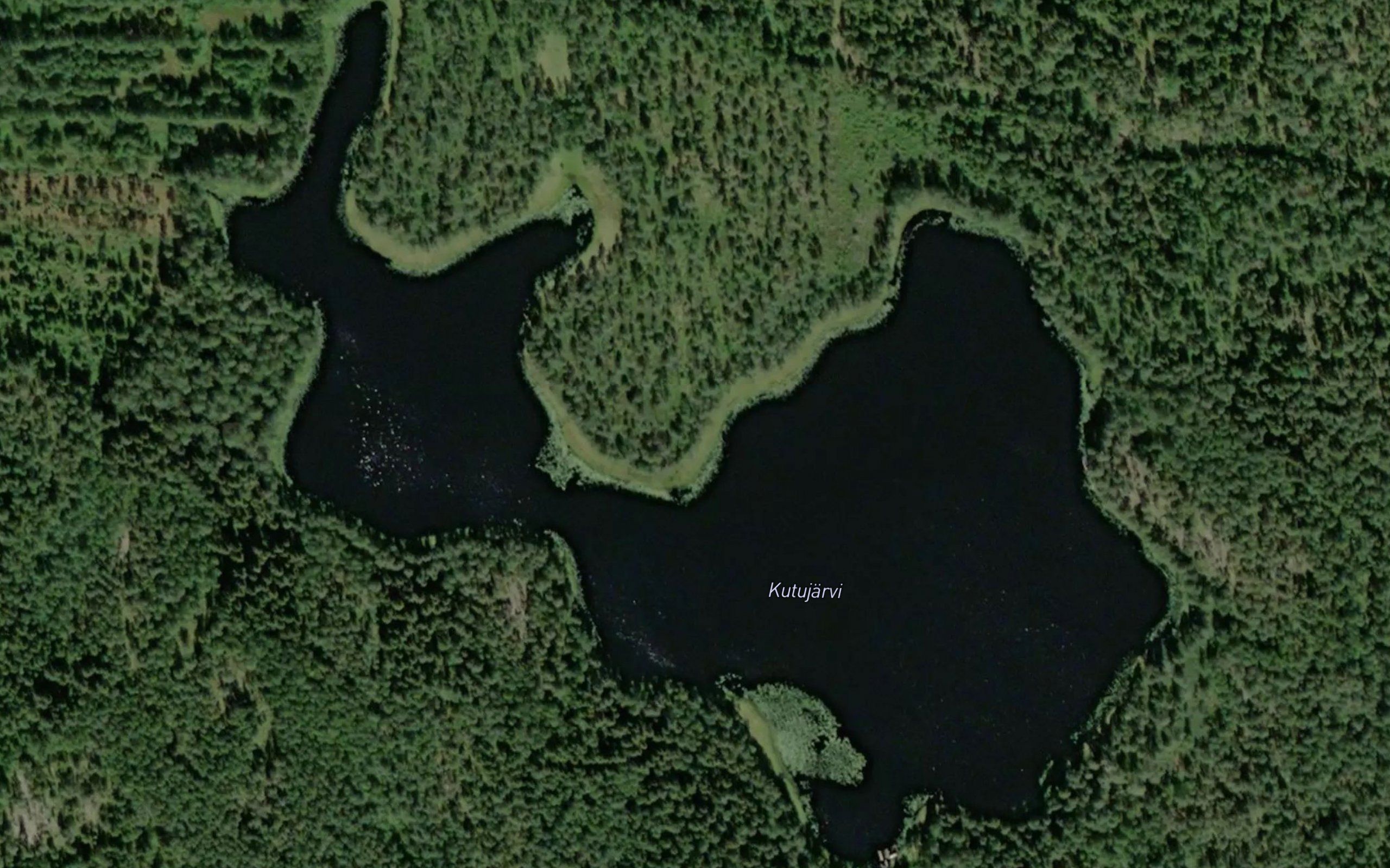 Kutujarvi