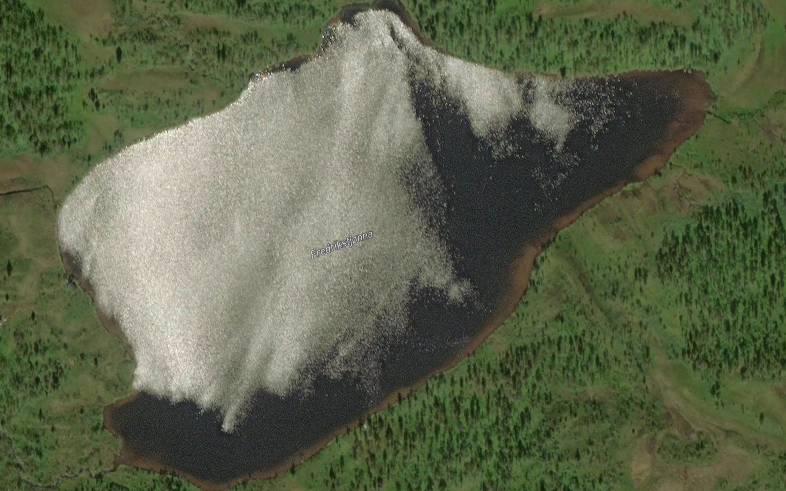 Fredrikstjorna