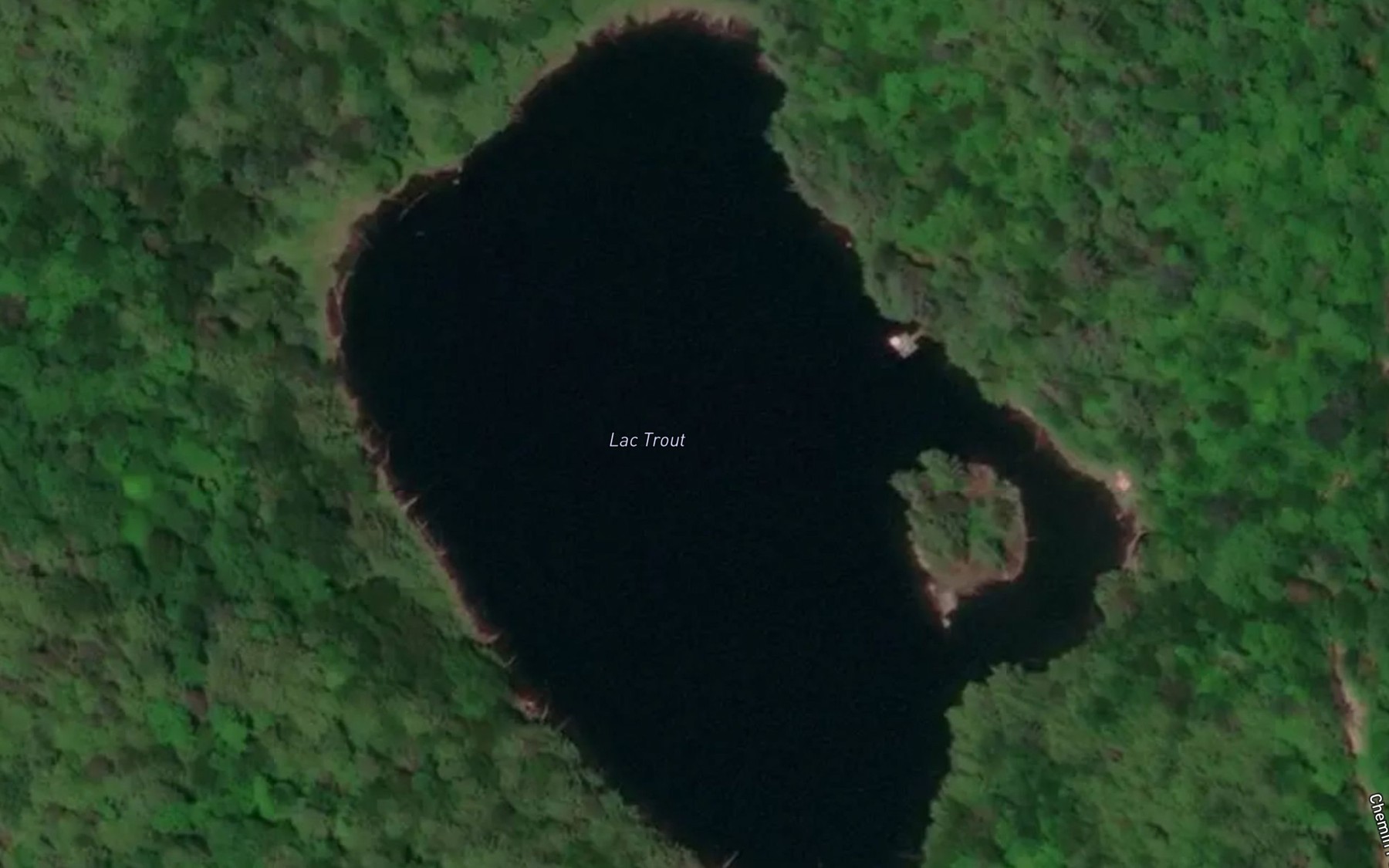 Satellite map of the Lac Trout