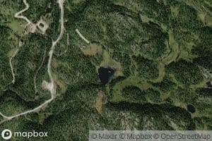 Lomtjorn