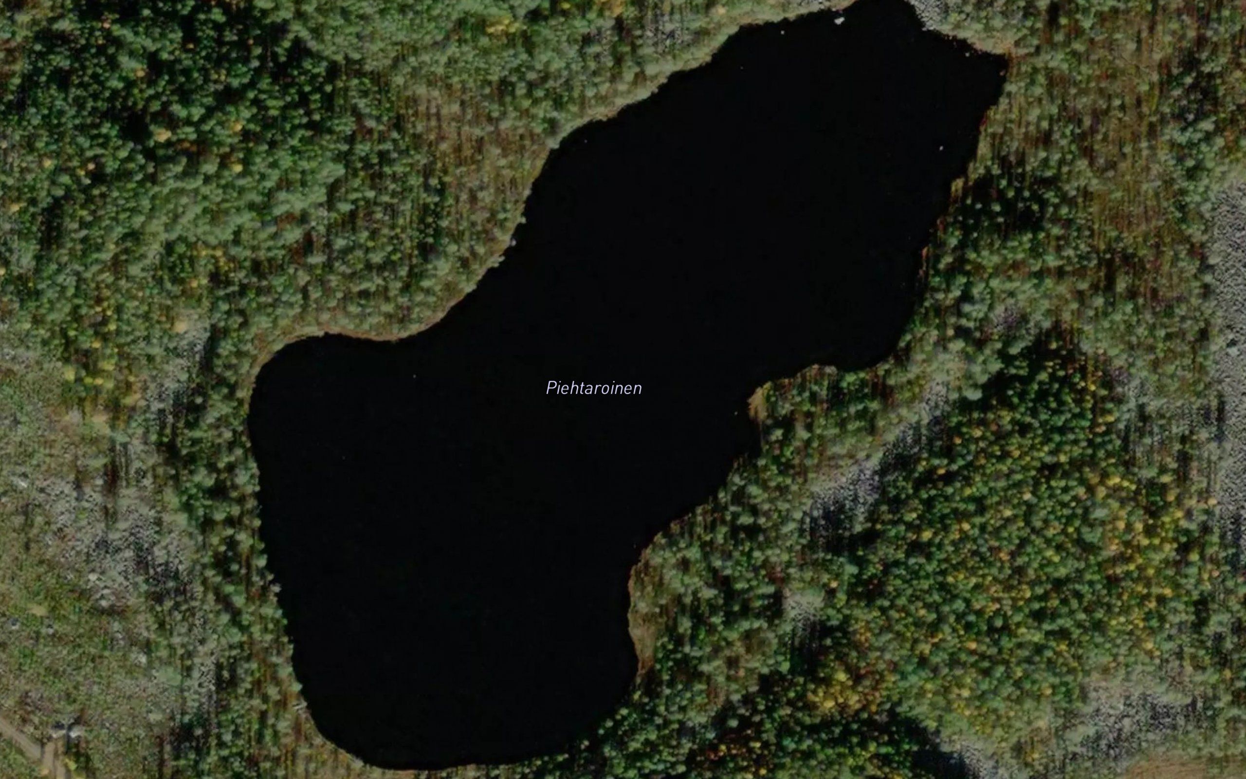 Piehtaroinen