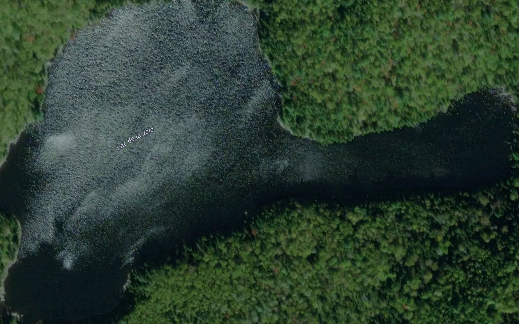 Satellite map of the Lac de la Joie