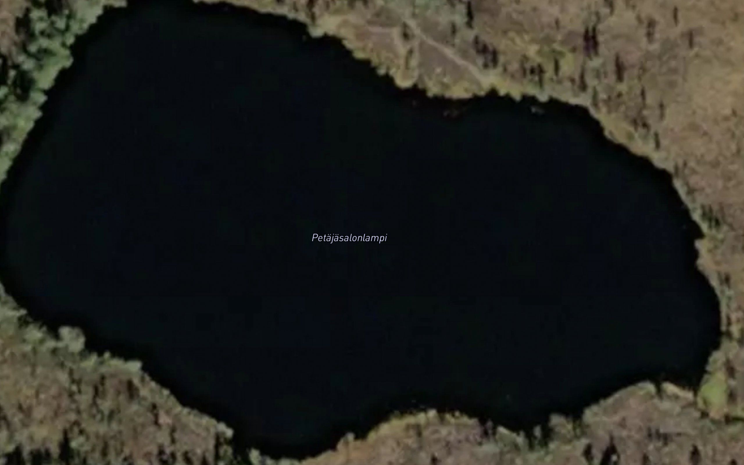 Petajasalonlampi