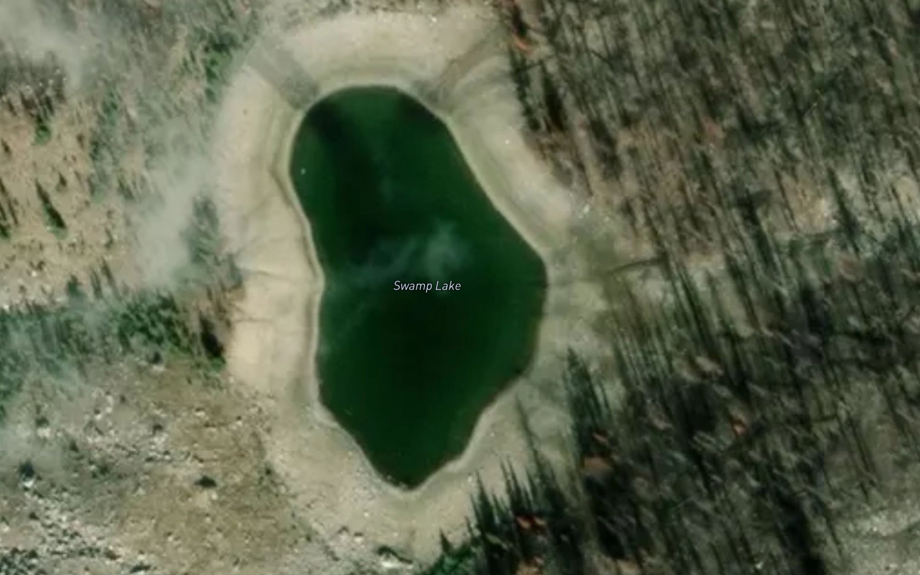 Satellite map of the Swamp Lake
