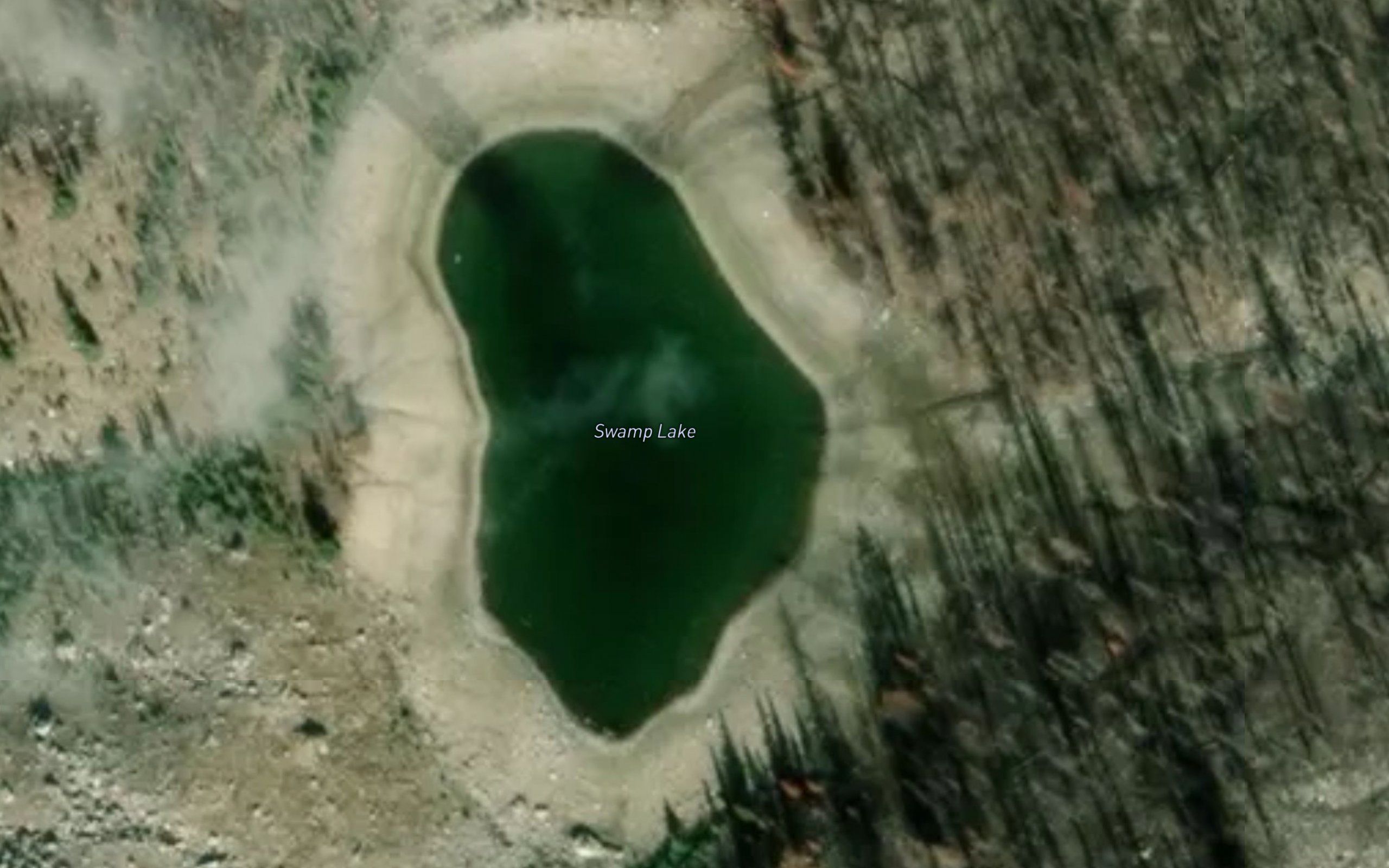 Swamp Lake