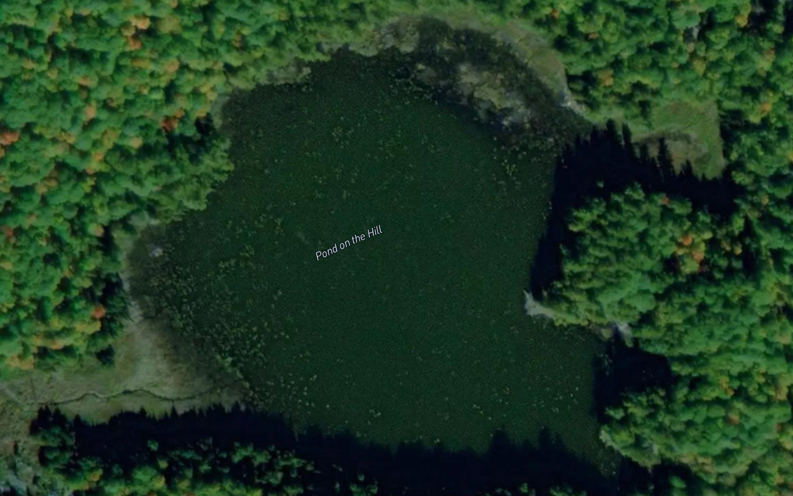 Pond on the Hill