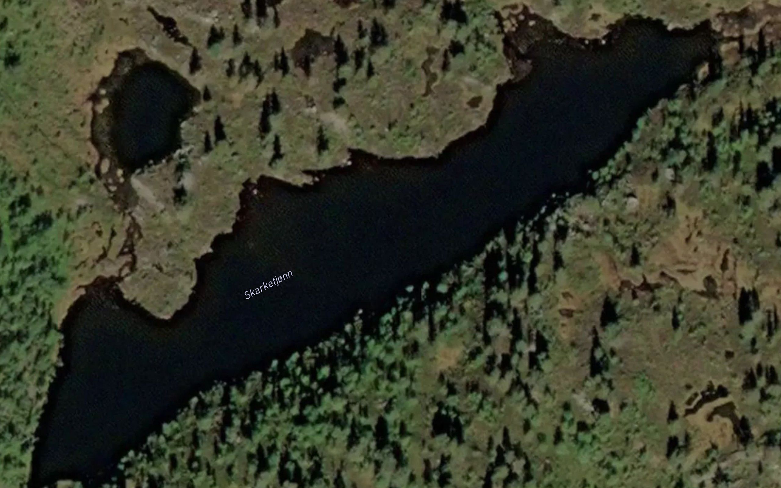 Skarketjorn