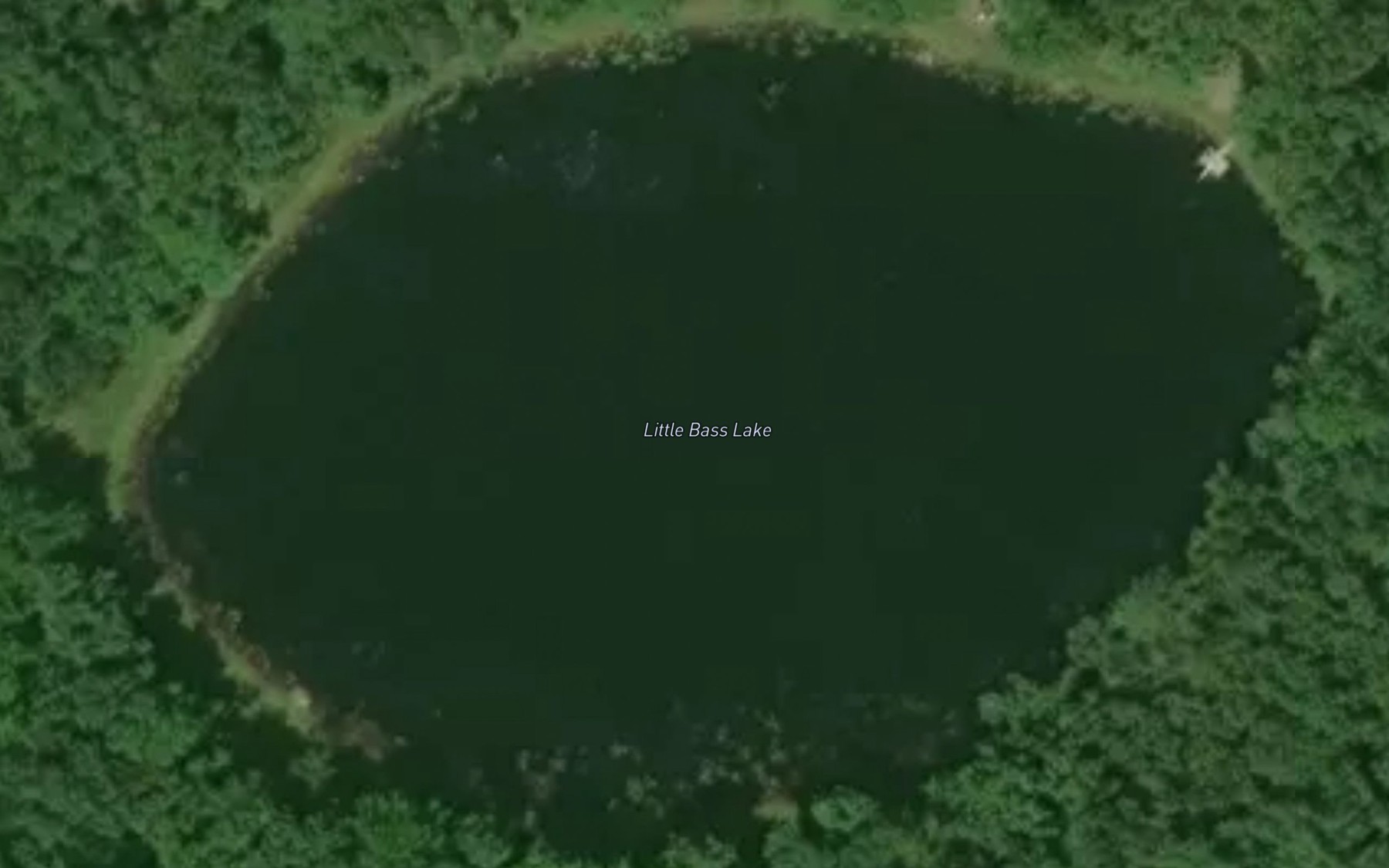 Satellite map of the Little Bass Lake