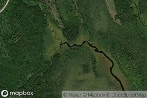 West Branch Enoch Brook