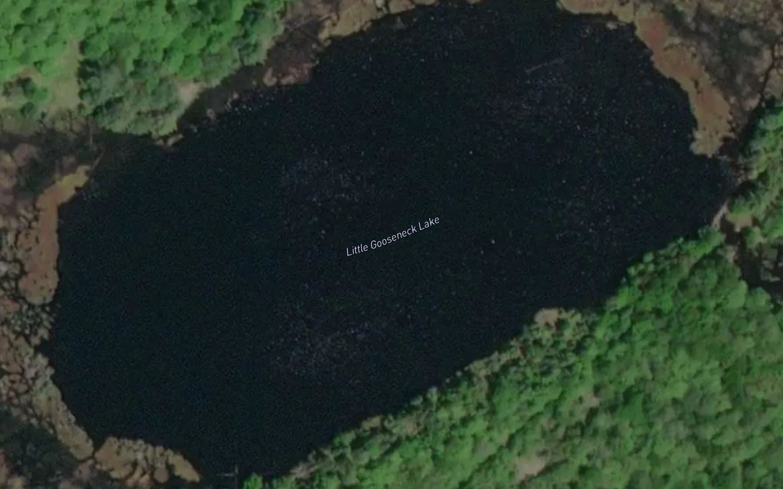 Little Gooseneck Lake