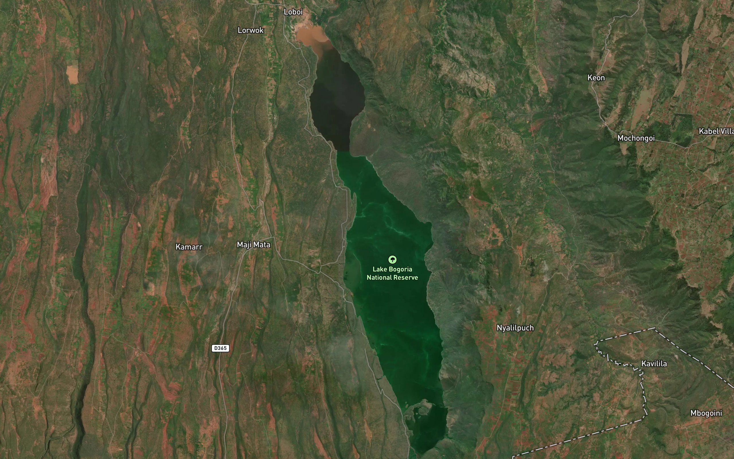 Lake Bogoria