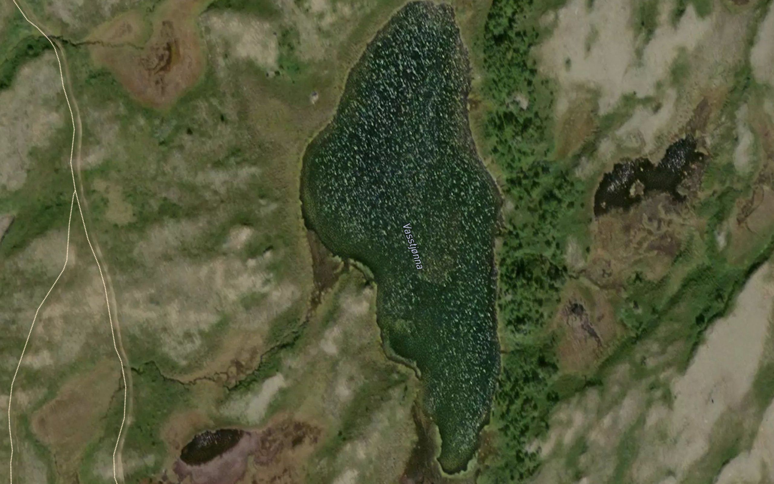 Vasstjorn
