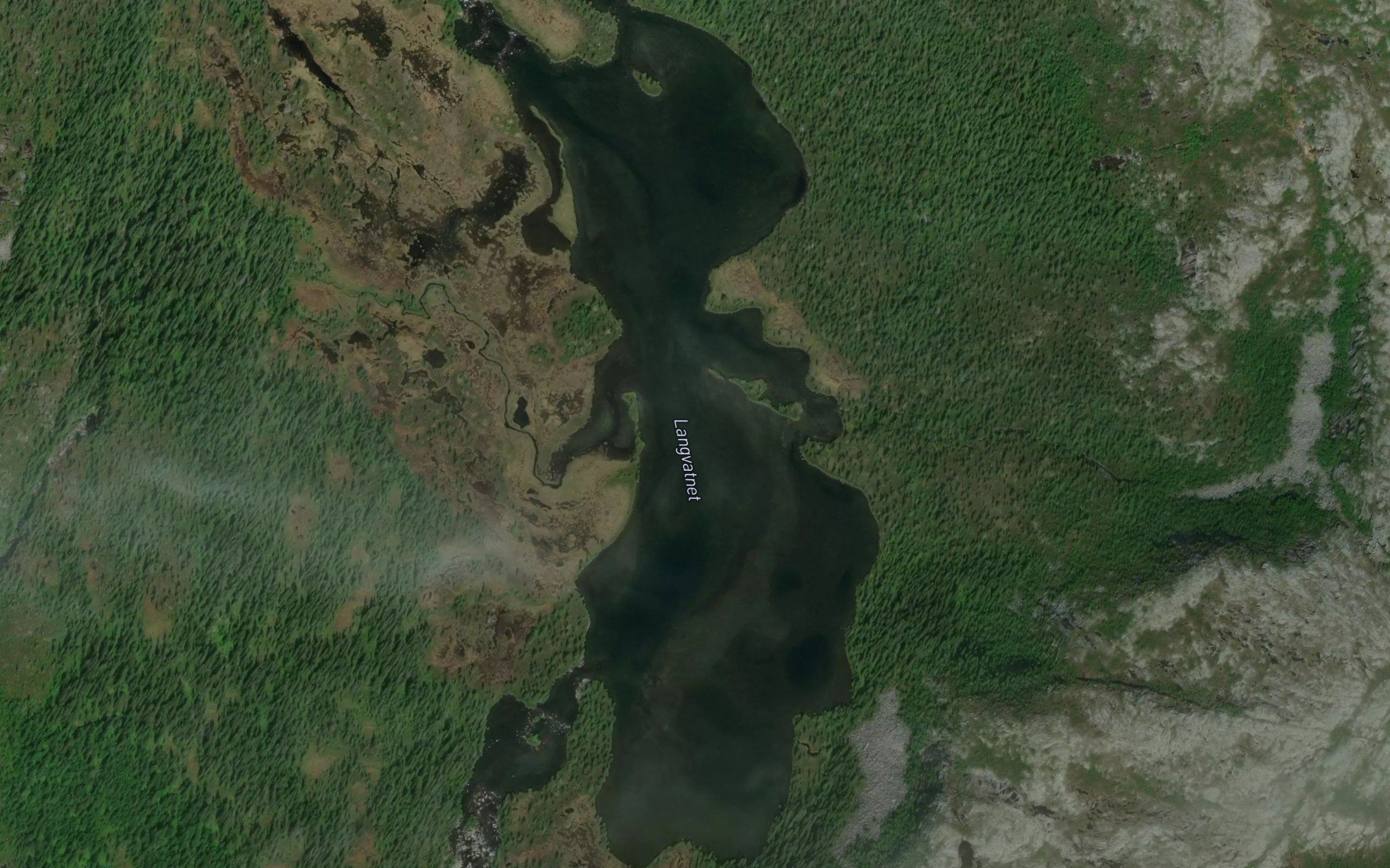 Langvatnet