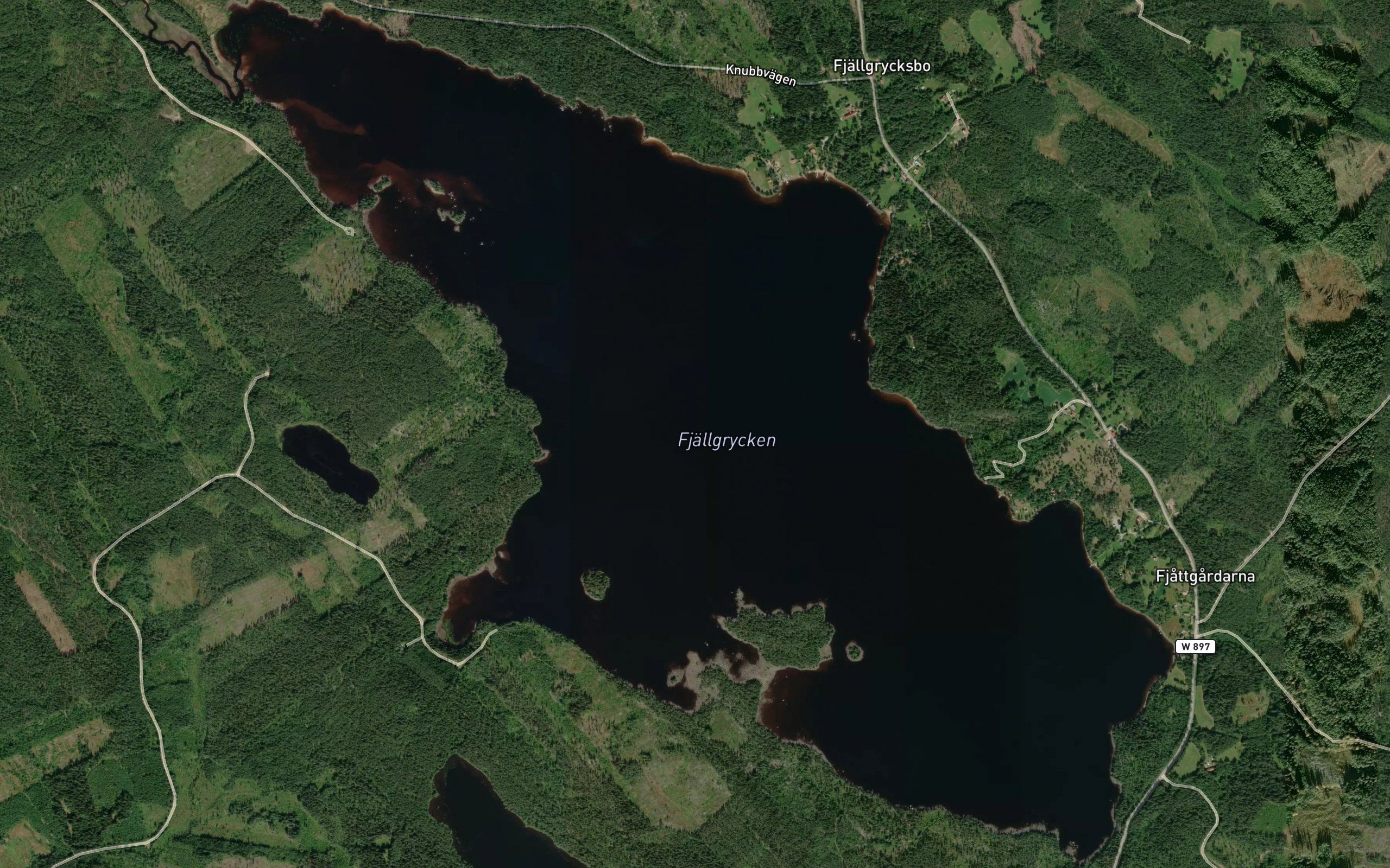 Fjallgrycken