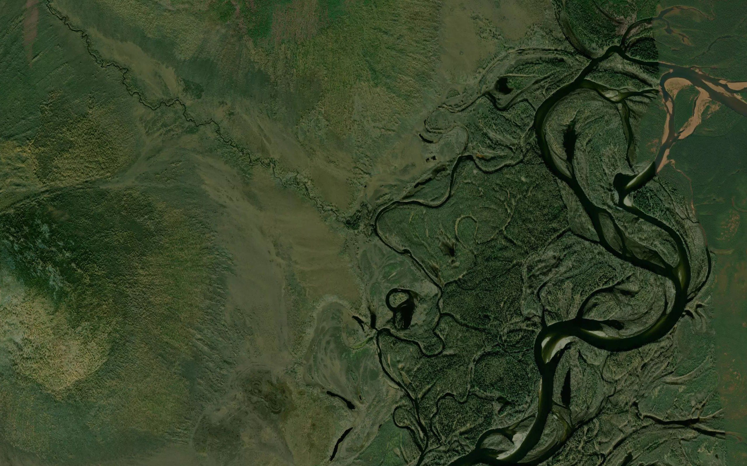 Yaman