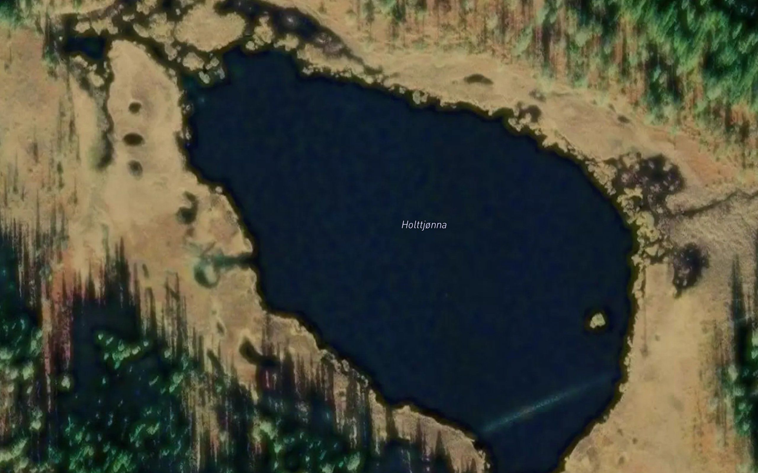 Holttjernet