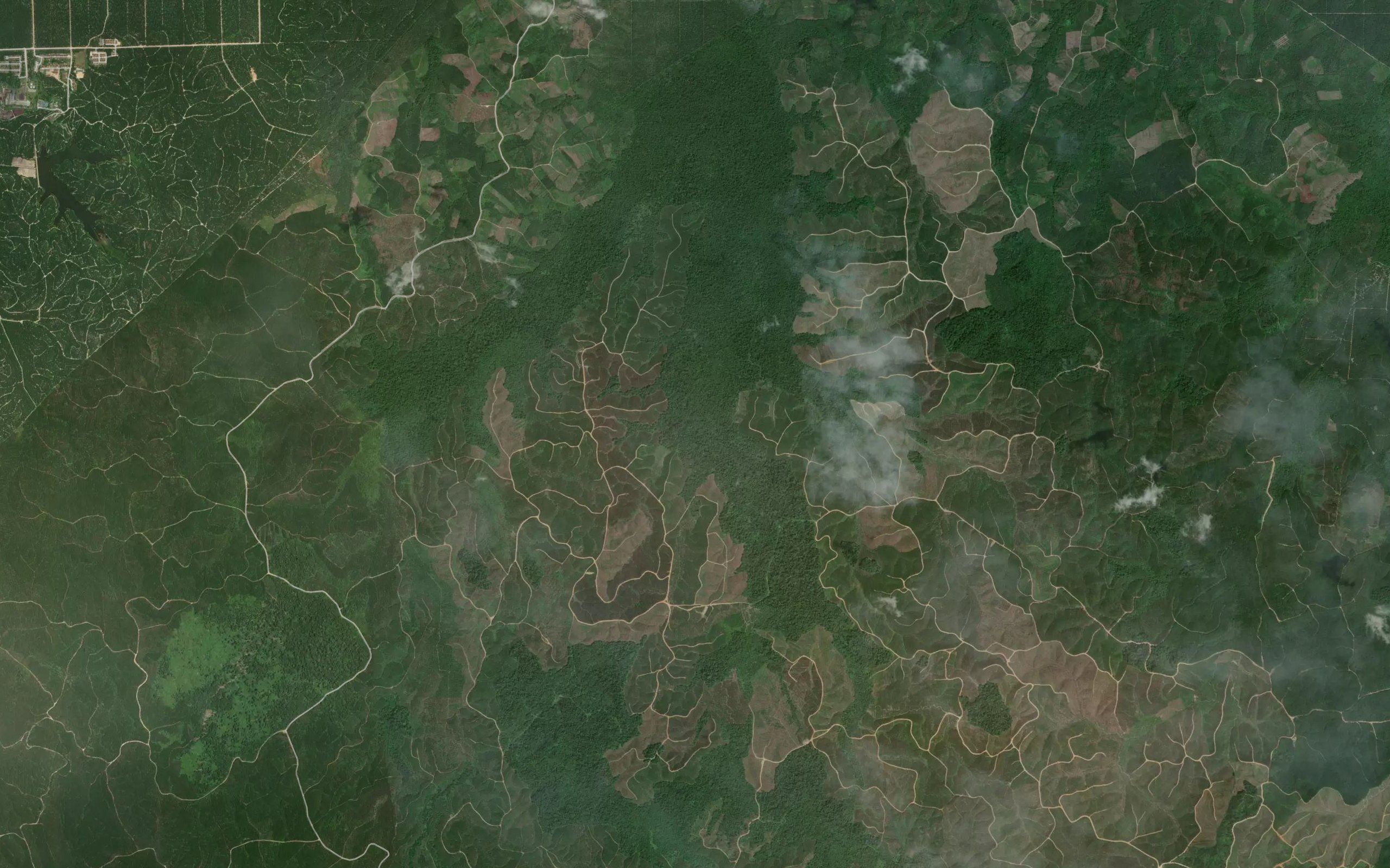 Sungai Sialang Tua