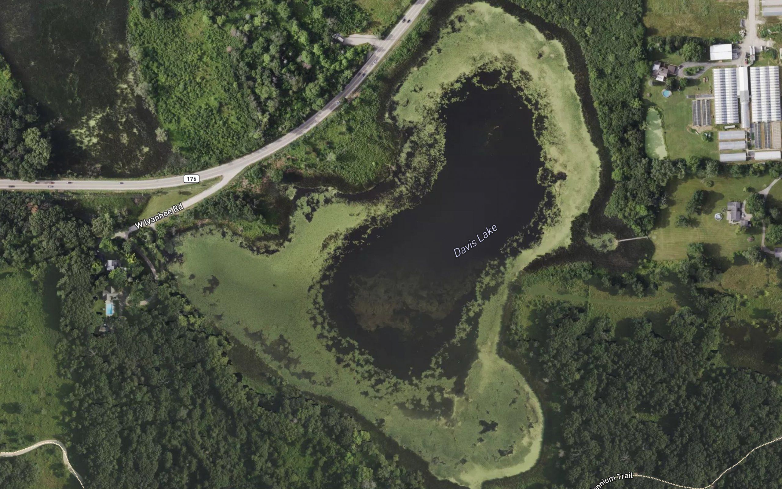 Davis Lake