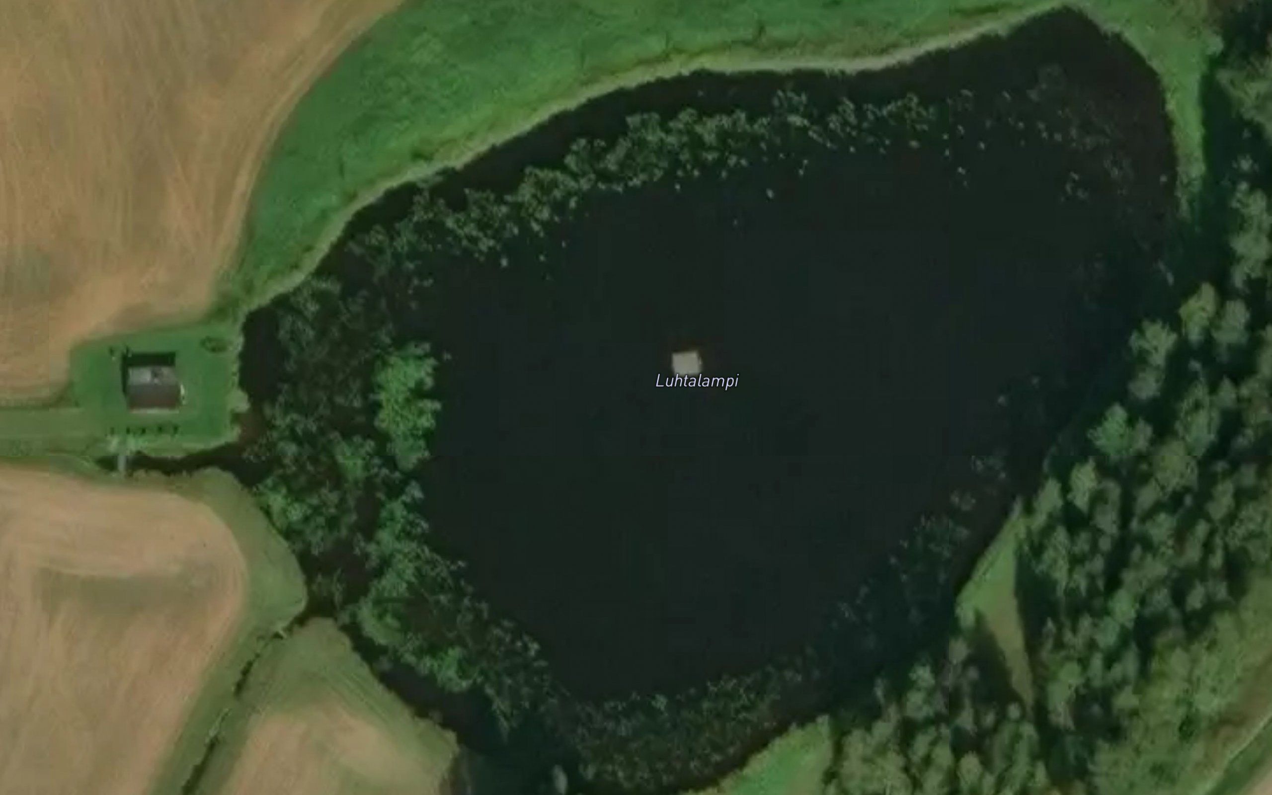Luhtalampi