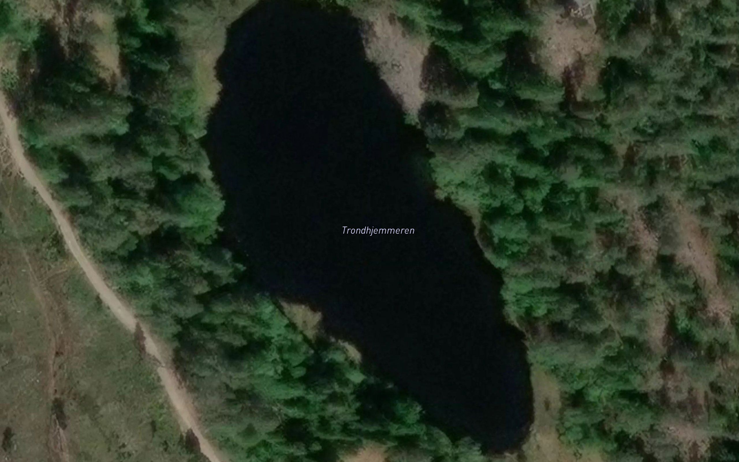 Trondhjemmertjern