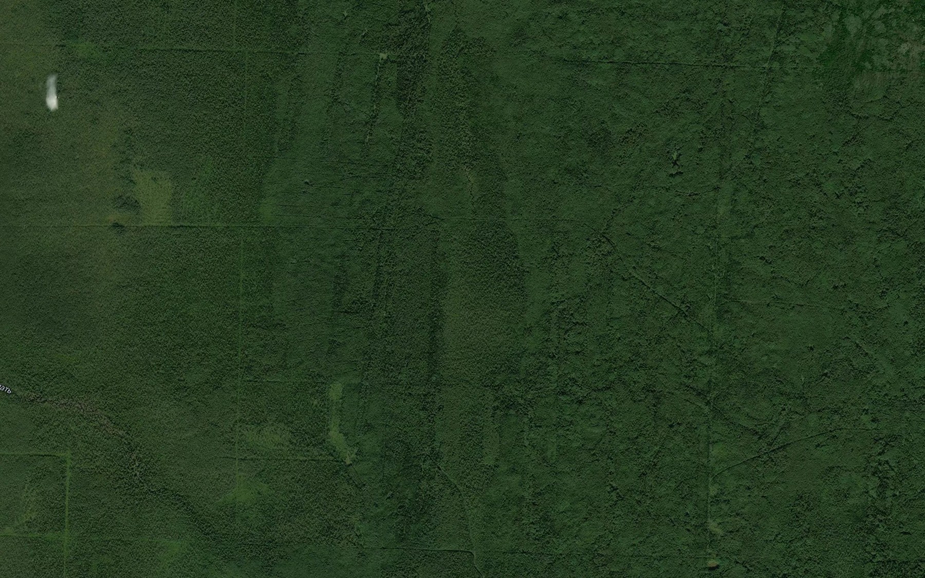 Satellite map of the Rogach