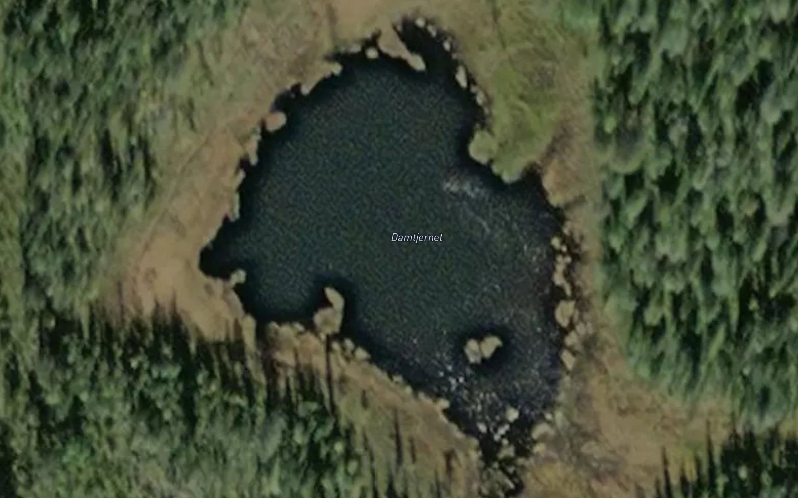 Damtjernet