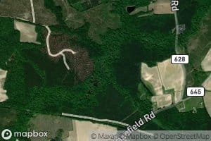 Village Run