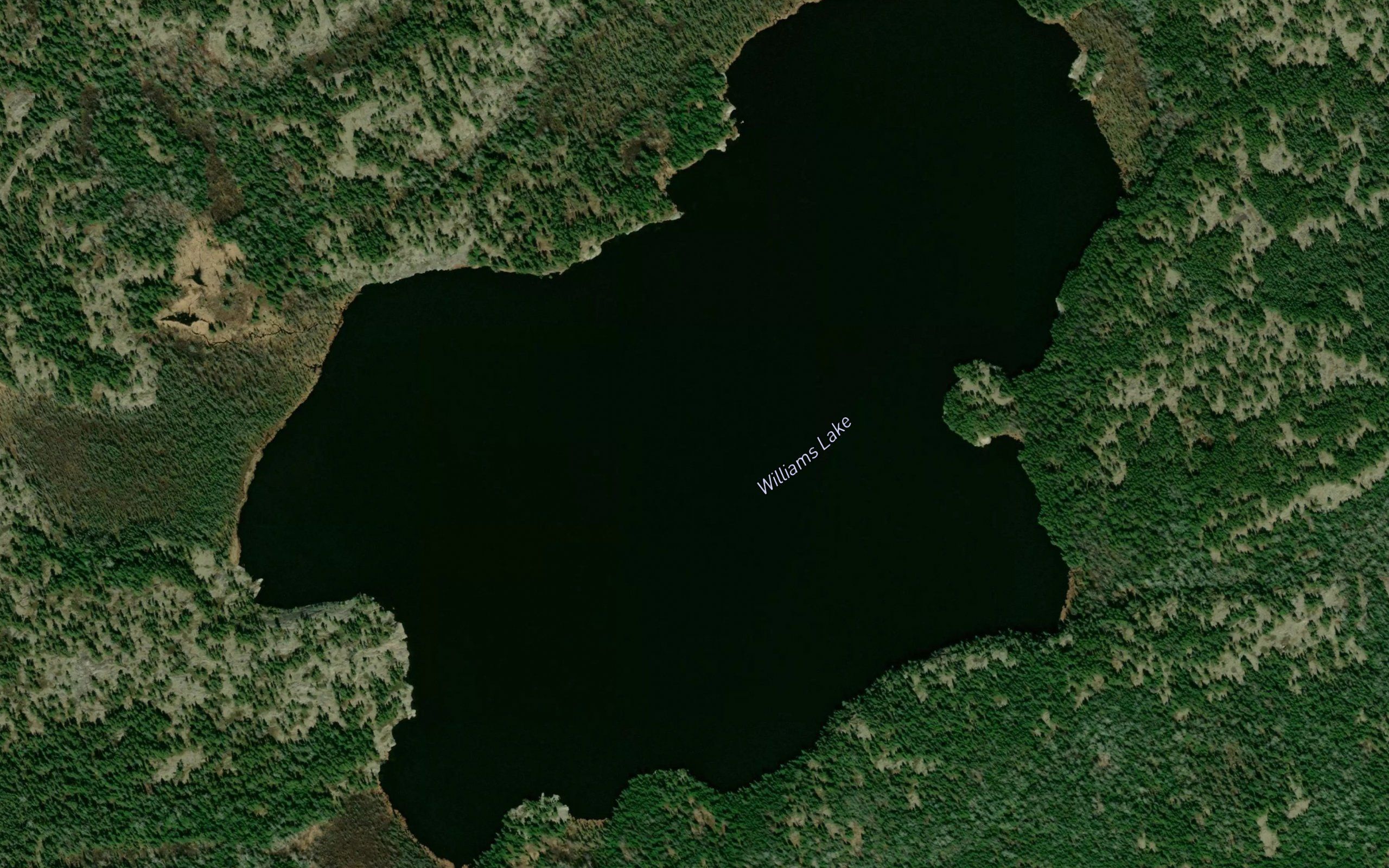 Williams Lake