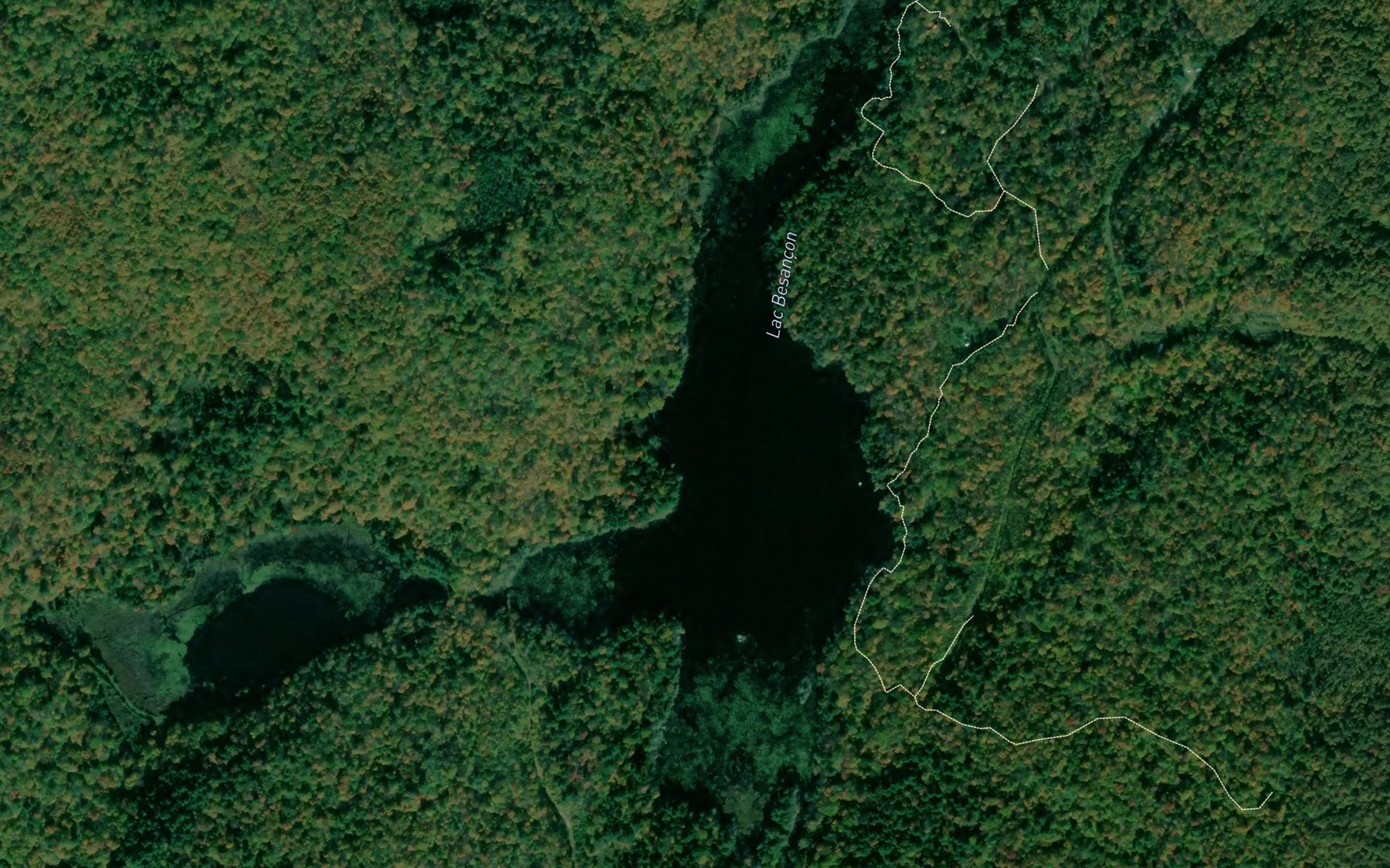 Satellite map of the Lac Besancon